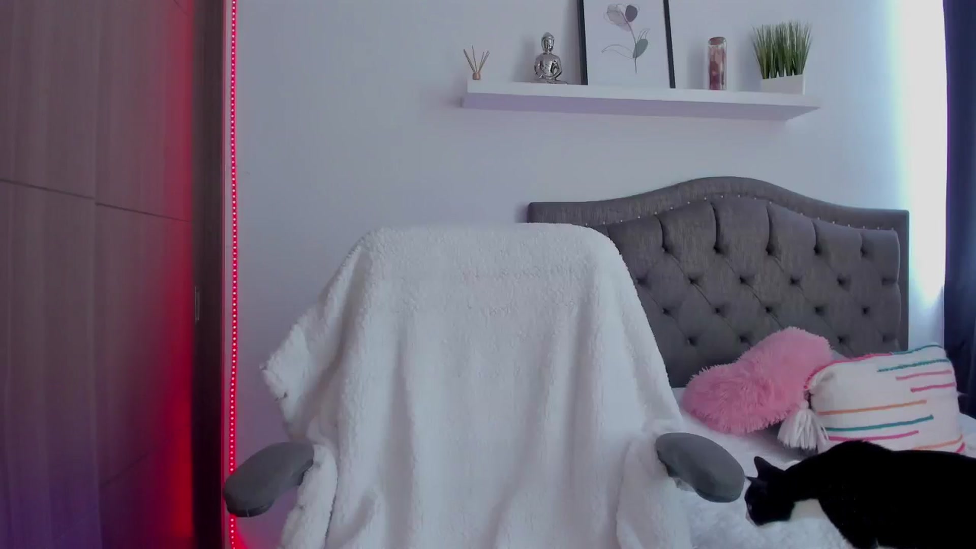 Gallery image thumbnail from Sofi___'s myfreecams stream on, 07/15/2025, 18:49 image 2 of 20