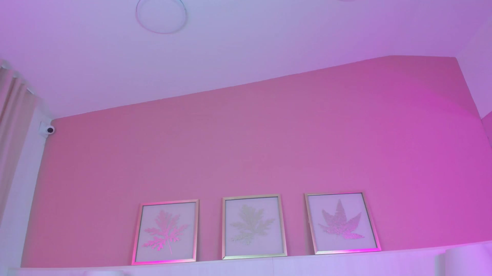 Gallery image thumbnail from SofiaDavis's myfreecams stream on, 05/05/2026, 09:43 image 6 of 20
