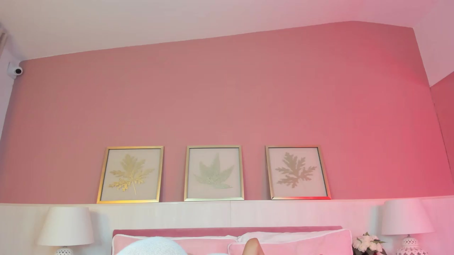 Gallery image thumbnail from SofiaDavis's myfreecams stream on, 05/27/2026, 10:17 image 1 of 20