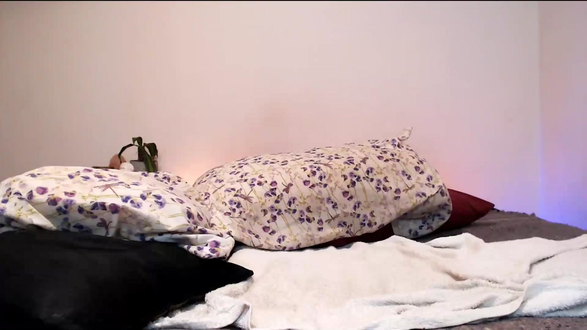 Gallery image thumbnail from Sofia_Amour's myfreecams stream on, 08/10/2025, 01:59 image 18 of 20