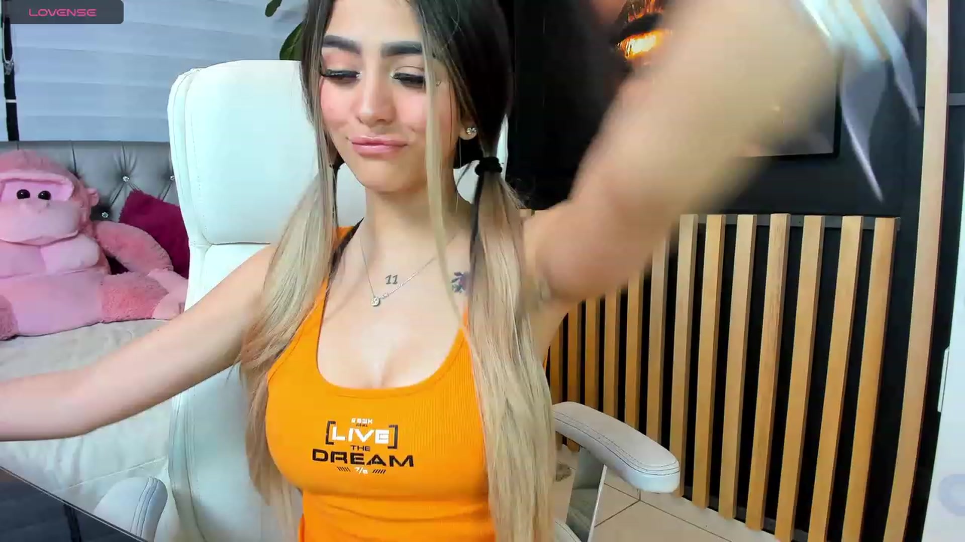 Gallery image thumbnail from Sofia_Noguera's myfreecams stream on, 01/17/2024, 02:29 image 15 of 20
