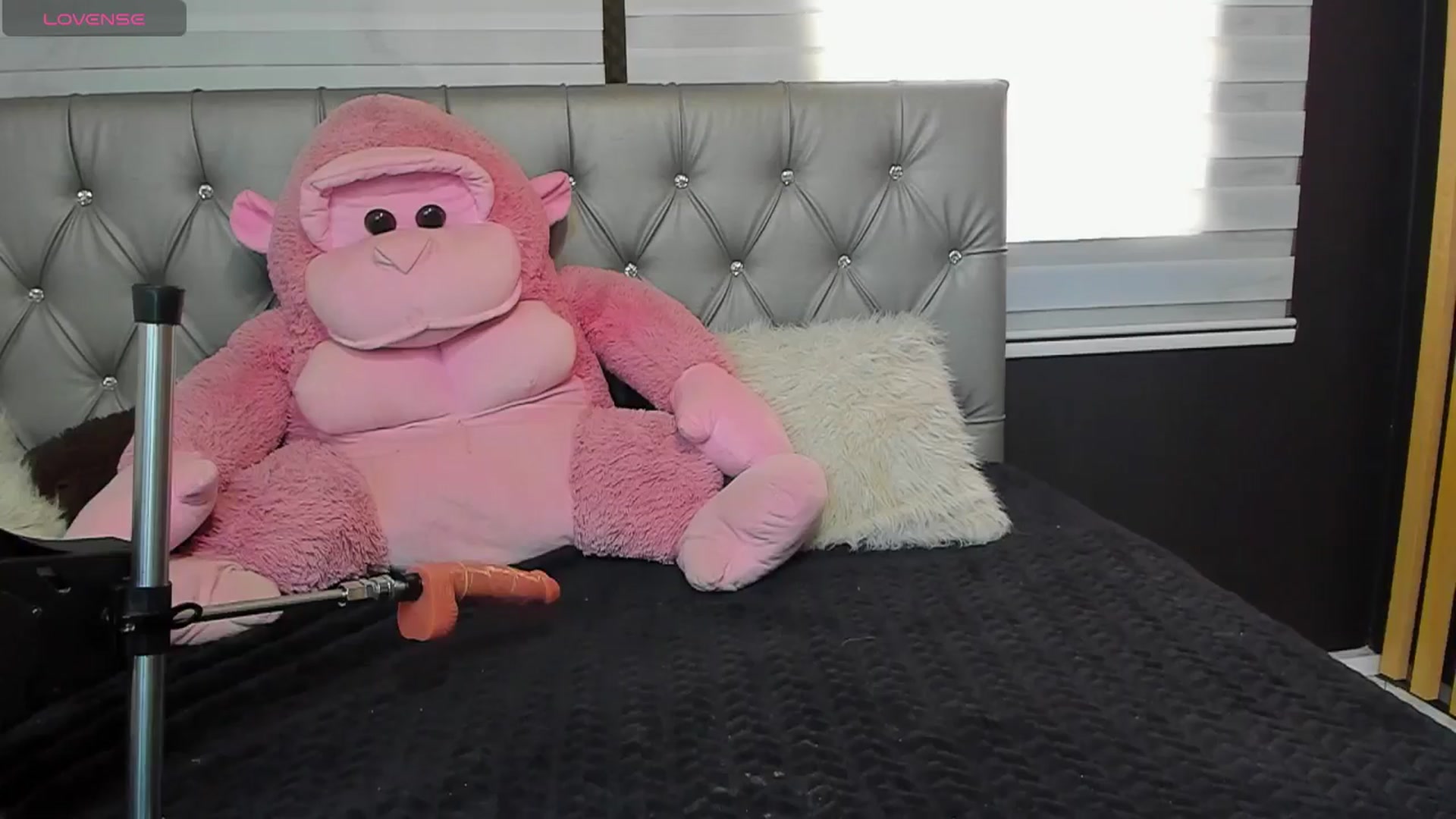 Gallery image thumbnail from Sofia_Noguera's myfreecams stream on, 11/04/2024, 16:07 image 20 of 20