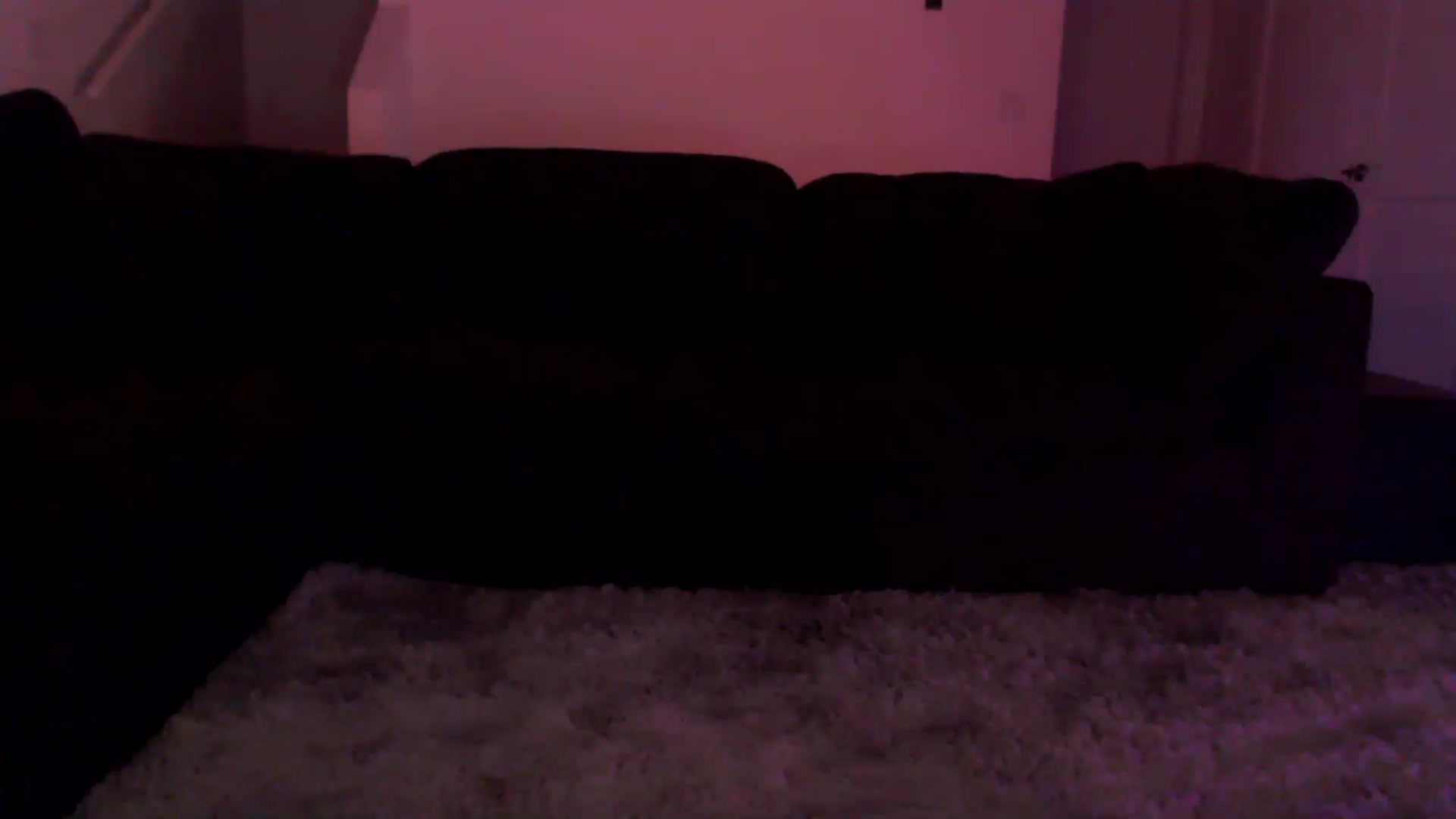 Gallery image thumbnail from Sofiabunny_xx's myfreecams stream on, 02/03/2023, 07:56 image 10 of 20