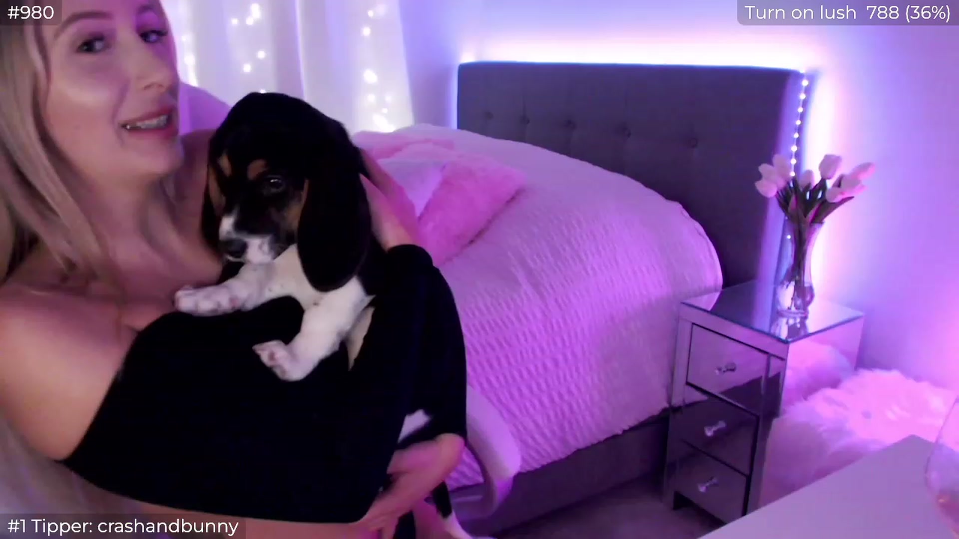 Gallery image thumbnail from Sofiabunny_xx's myfreecams stream on, 04/18/2023, 04:43 image 13 of 20