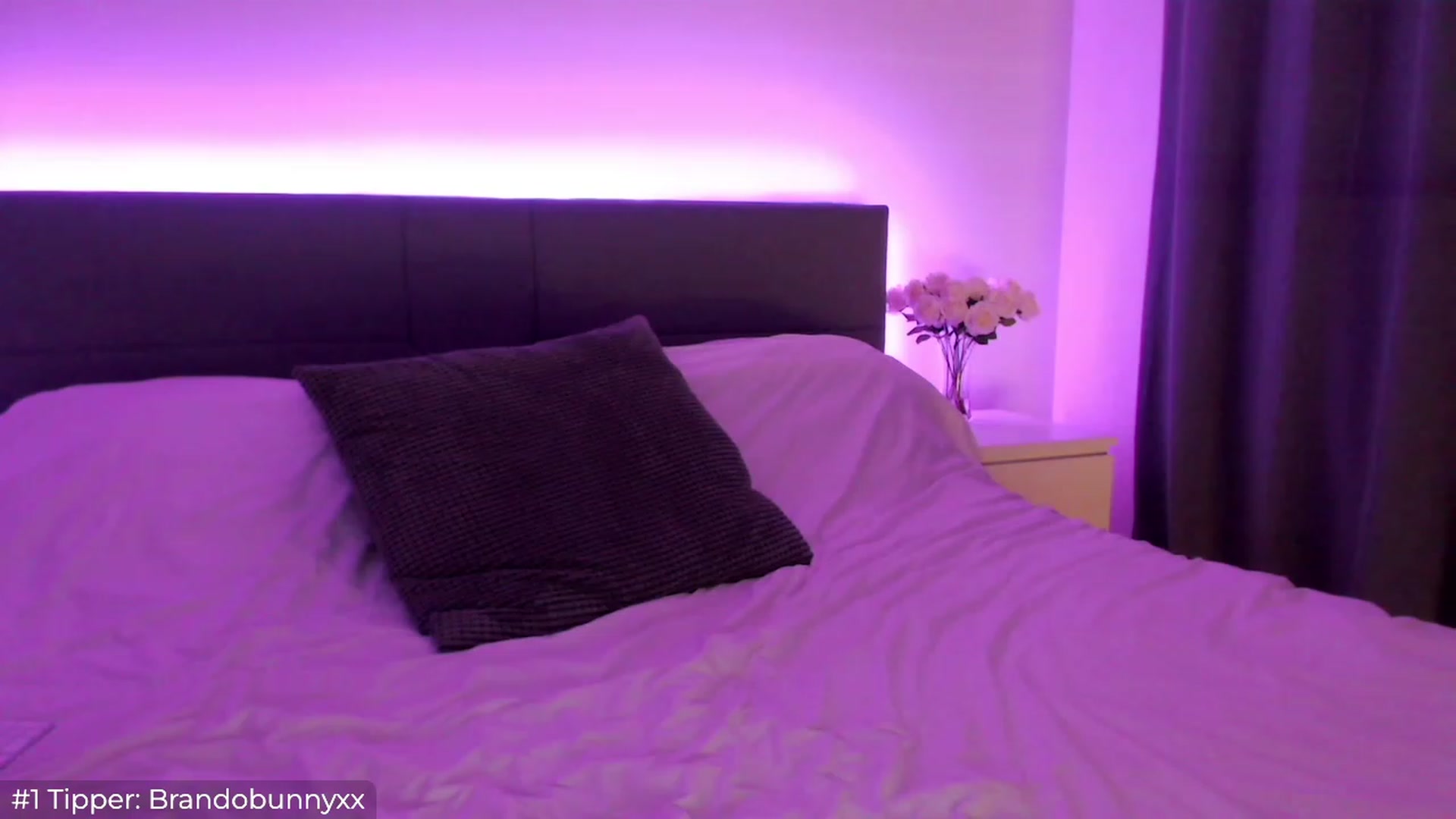 Gallery image thumbnail from Sofiabunny_xx's myfreecams stream on, 05/27/2023, 05:34 image 18 of 20
