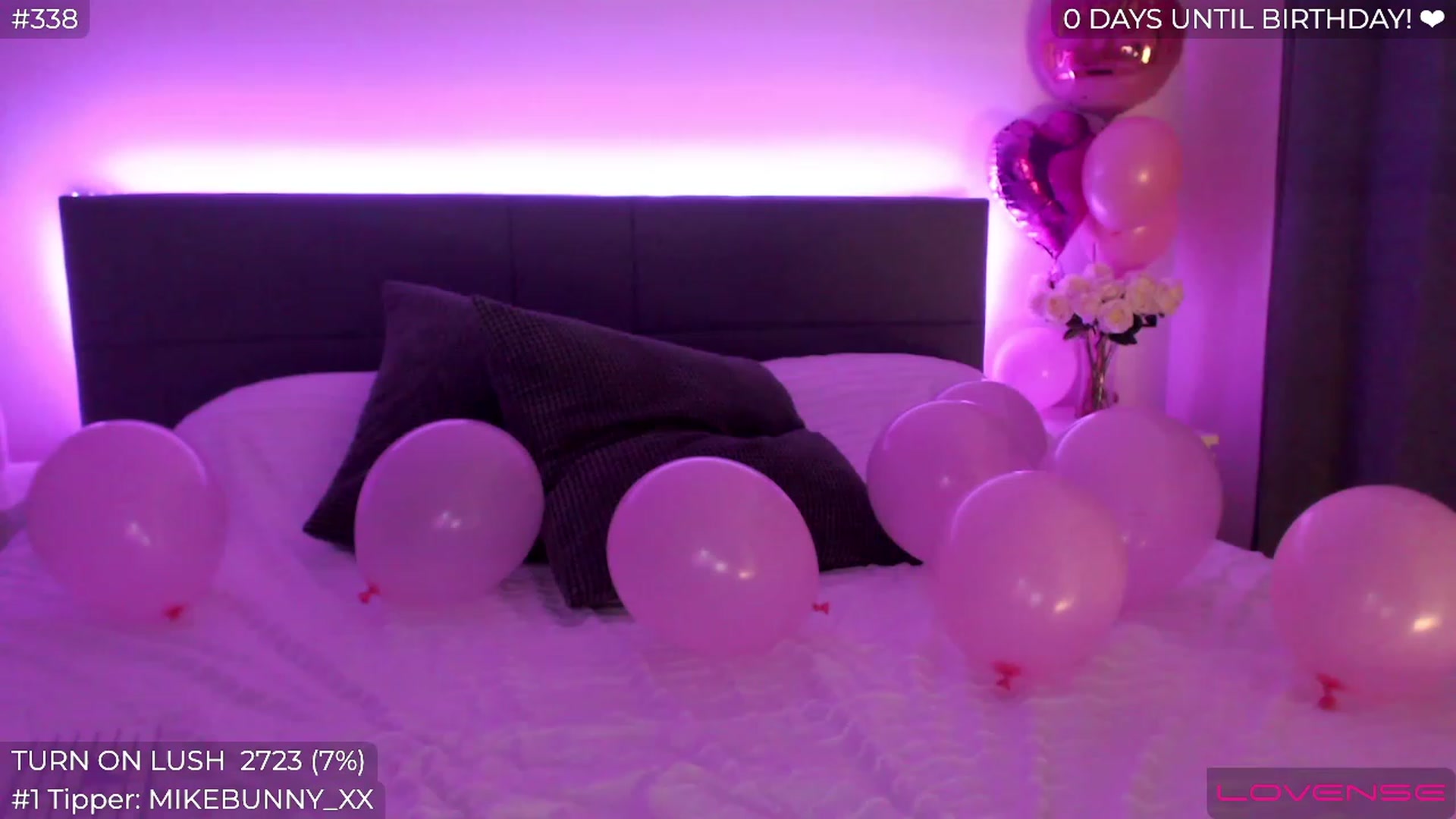 Gallery image thumbnail from Sofiabunny_xx's myfreecams stream on, 08/01/2023, 03:32 image 9 of 20