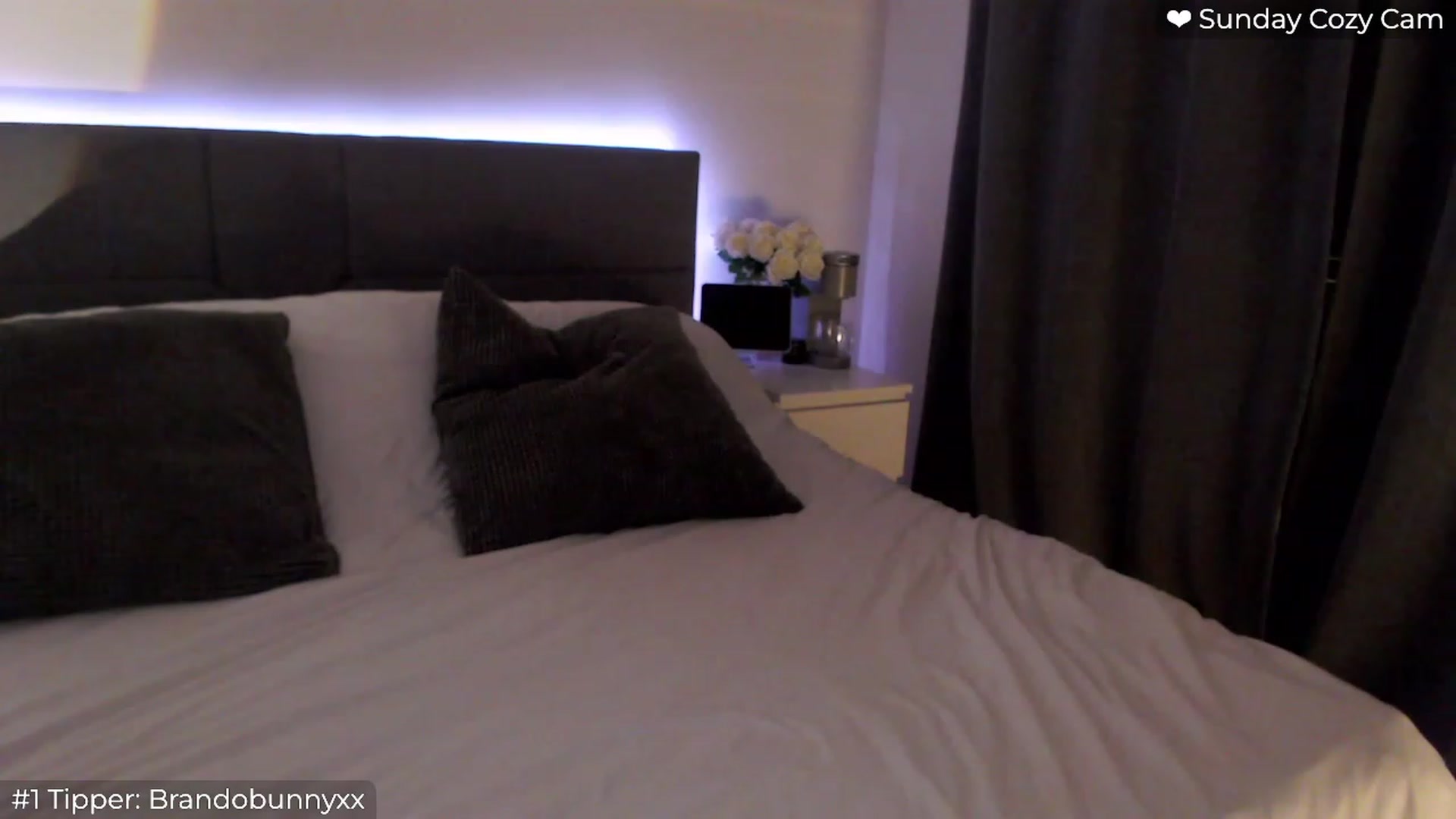 Gallery image thumbnail from Sofiabunny_xx's myfreecams stream on, 01/29/2024, 05:45 image 15 of 20