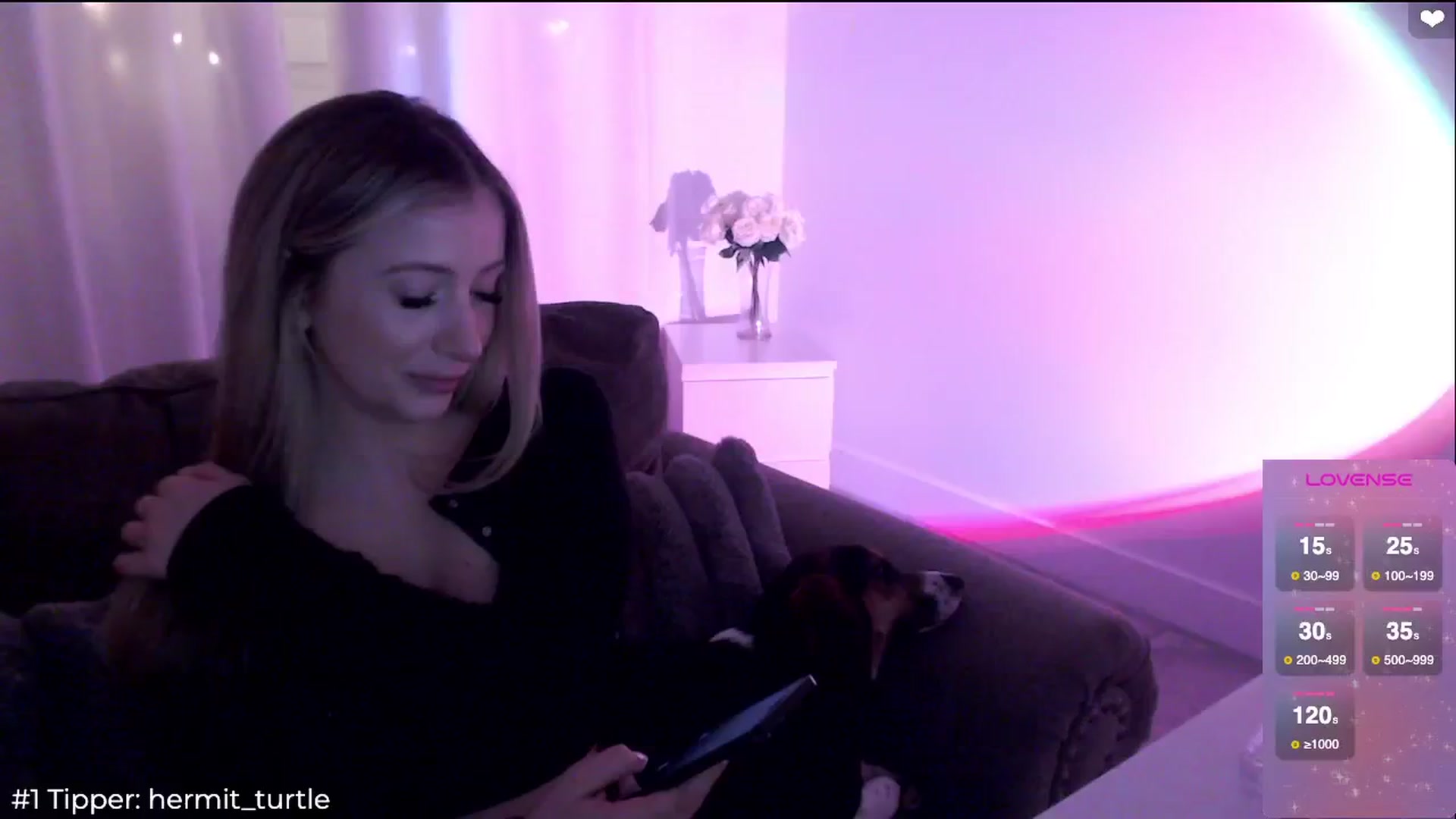 Gallery image thumbnail from Sofiabunny_xx's myfreecams stream on, 02/05/2025, 06:39 image 15 of 20