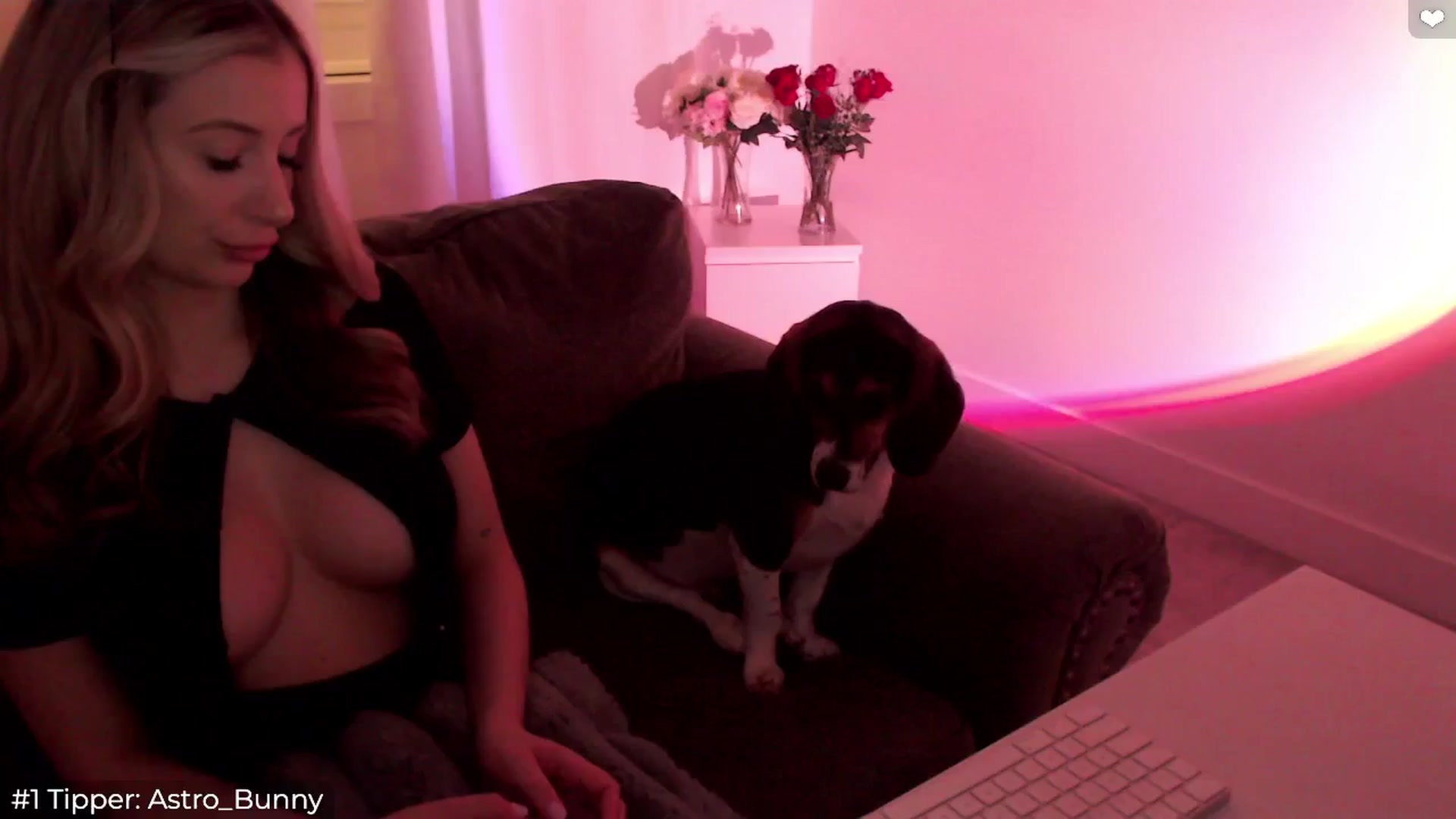 Gallery image thumbnail from Sofiabunny_xx's myfreecams stream on, 03/04/2025, 06:27 image 10 of 20