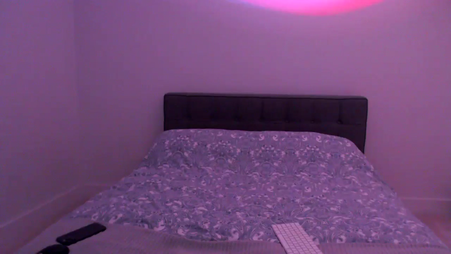 Gallery image thumbnail from Sofiabunny_xx's myfreecams stream on, 07/08/2025, 03:44 image 13 of 20