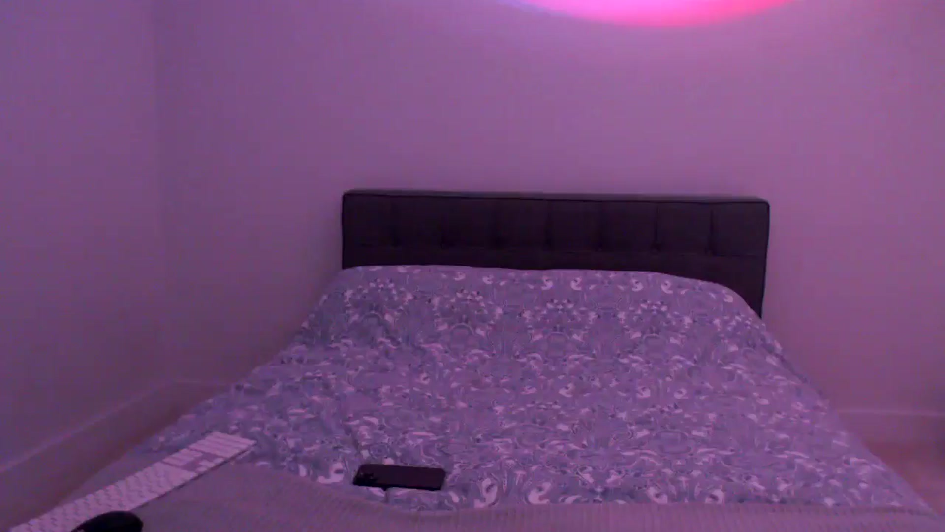Gallery image thumbnail from Sofiabunny_xx's myfreecams stream on, 07/08/2025, 03:44 image 16 of 20