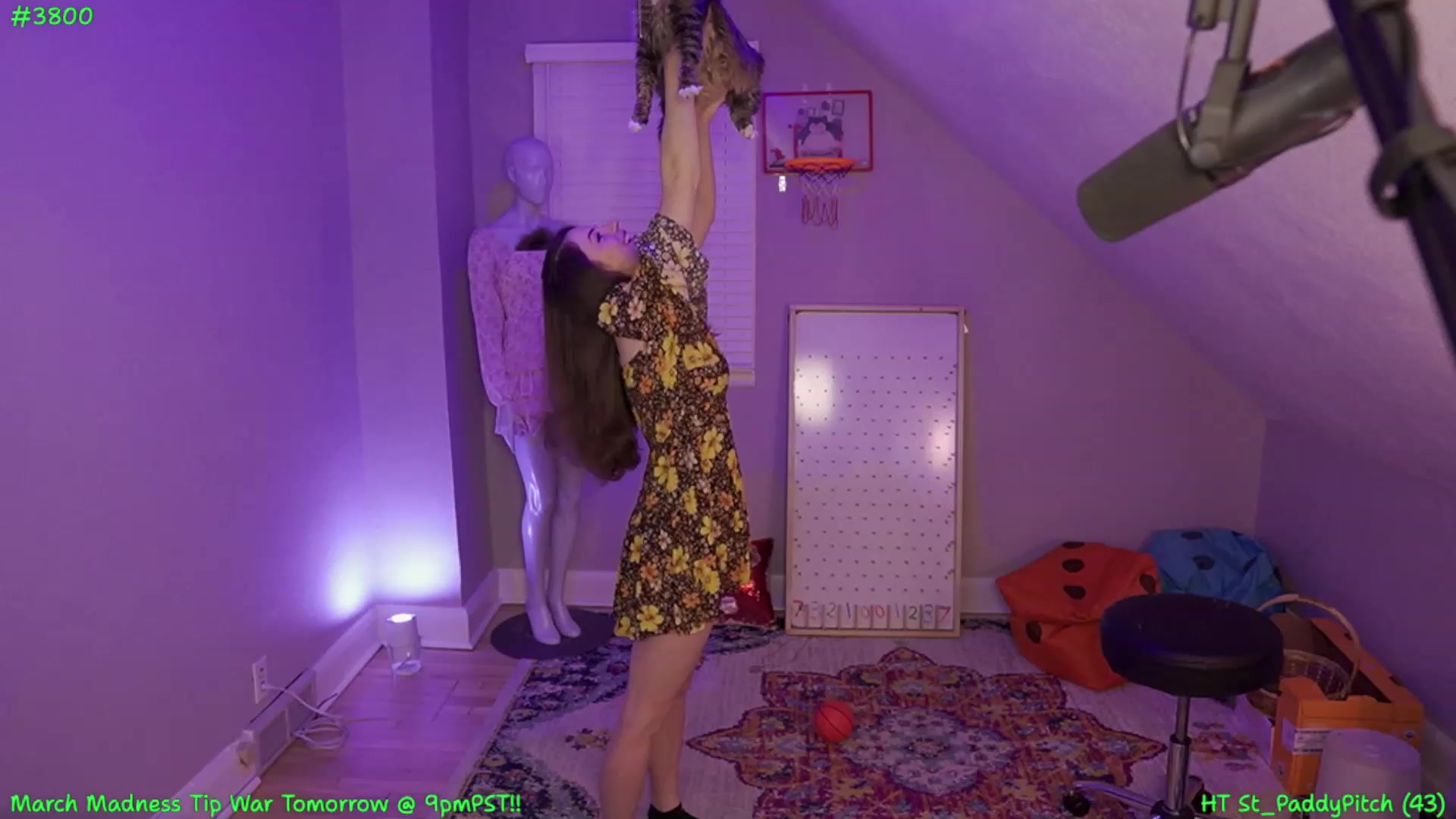Gallery image thumbnail from SofieMcBrofie's myfreecams stream on, 03/08/2024, 06:16 image 1 of 20