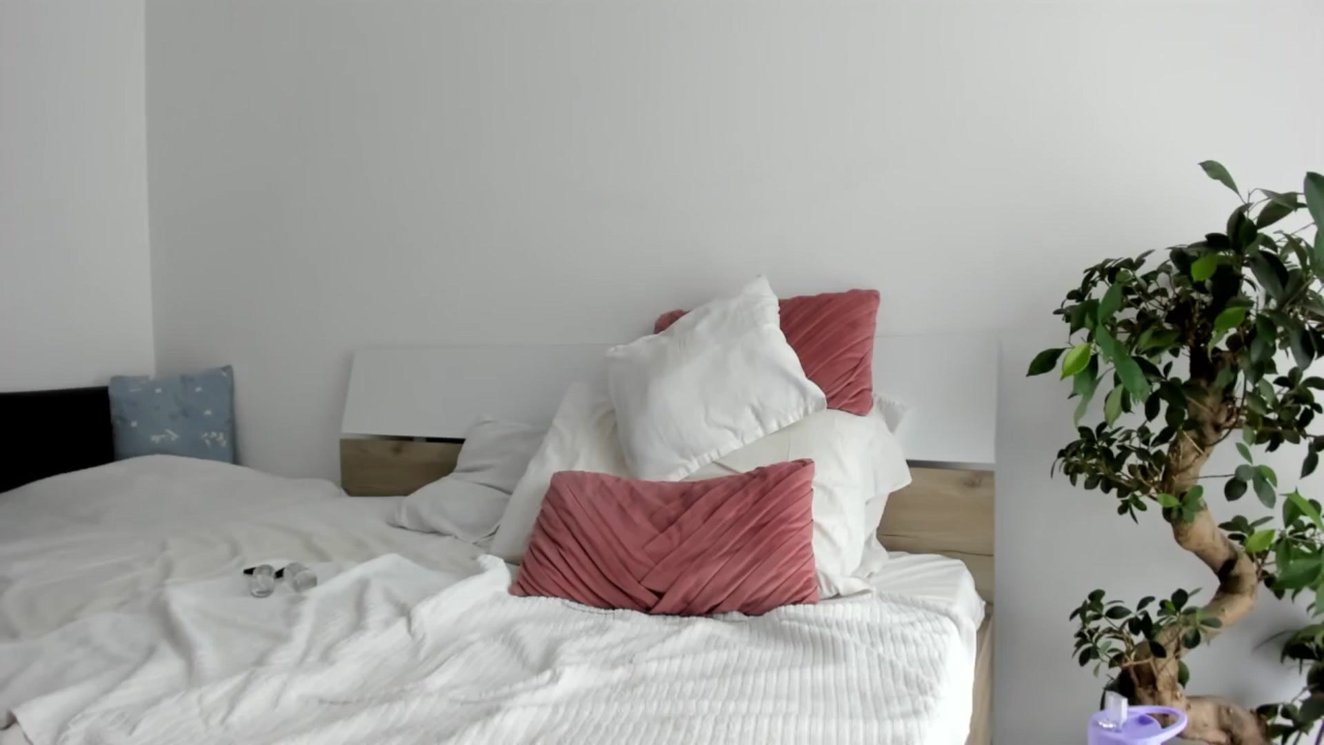 Gallery image thumbnail from SofiePhoenix's myfreecams stream on, 05/02/2024, 13:11 image 6 of 20