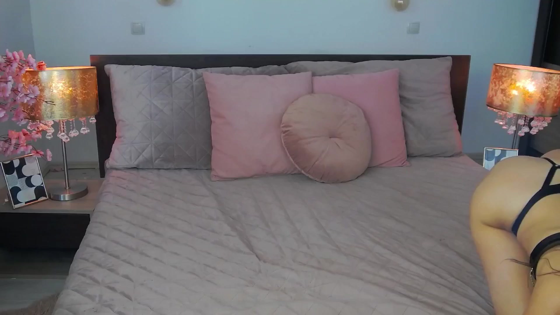 Gallery image thumbnail from Sofiewild's myfreecams stream on, 08/29/2024, 08:59 image 14 of 20
