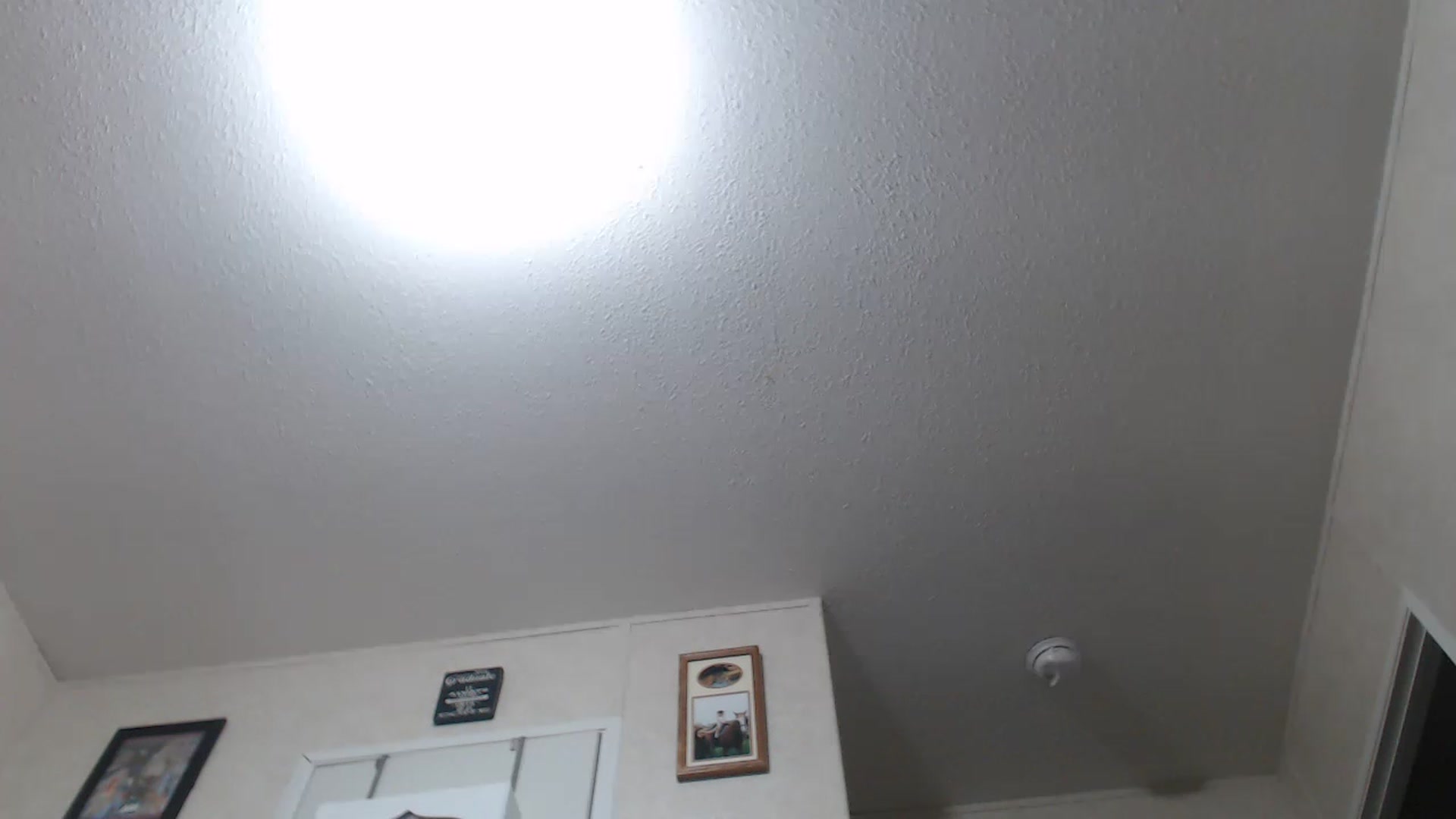 Gallery image thumbnail from Sofieyoungxxx's myfreecams stream on, 07/18/2023, 10:03 image 18 of 20