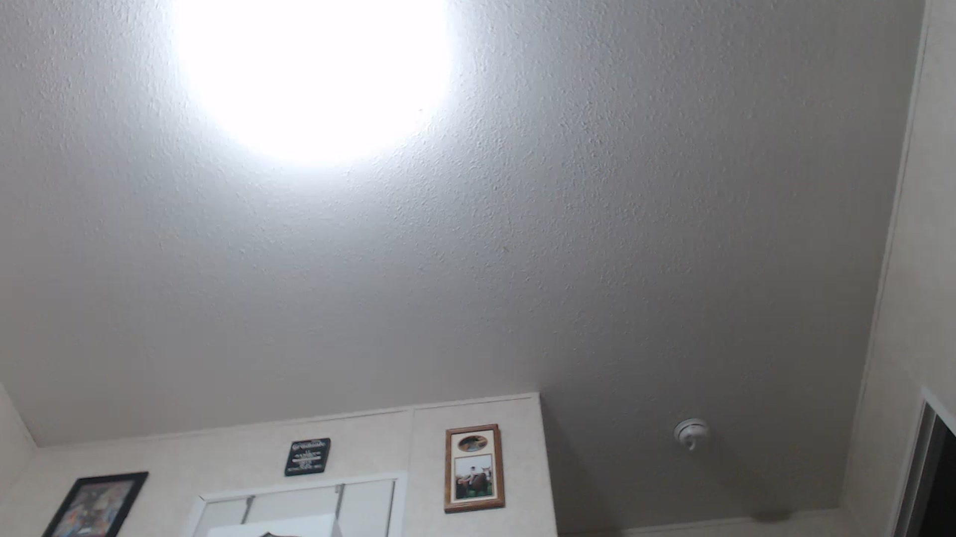 Gallery image thumbnail from Sofieyoungxxx's myfreecams stream on, 07/18/2023, 10:03 image 2 of 20