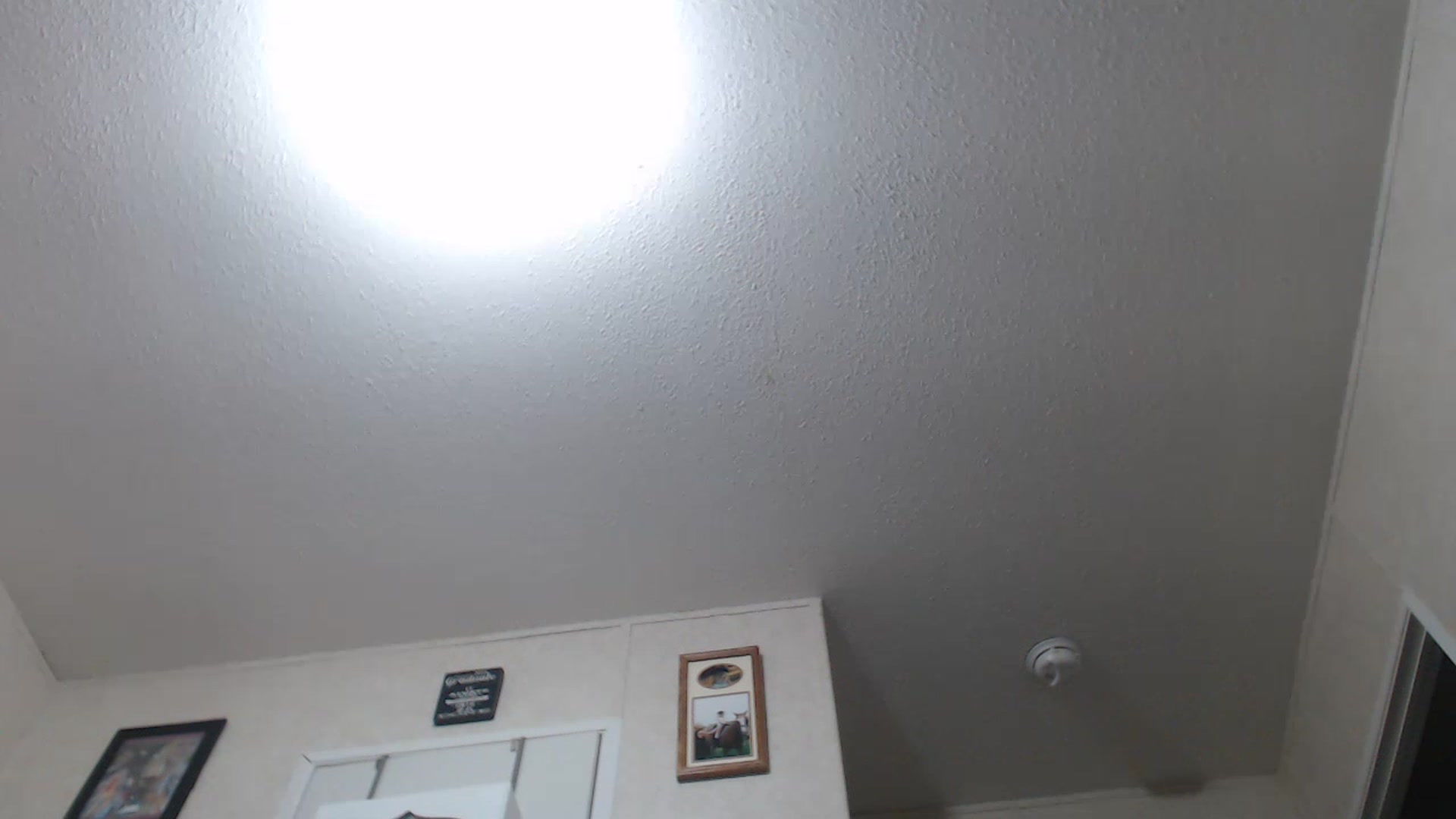 Gallery image thumbnail from Sofieyoungxxx's myfreecams stream on, 07/18/2023, 10:03 image 6 of 20