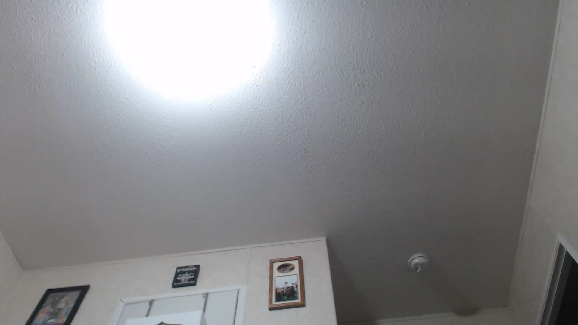 Gallery image thumbnail from Sofieyoungxxx's myfreecams stream on, 07/18/2023, 10:03 image 17 of 20