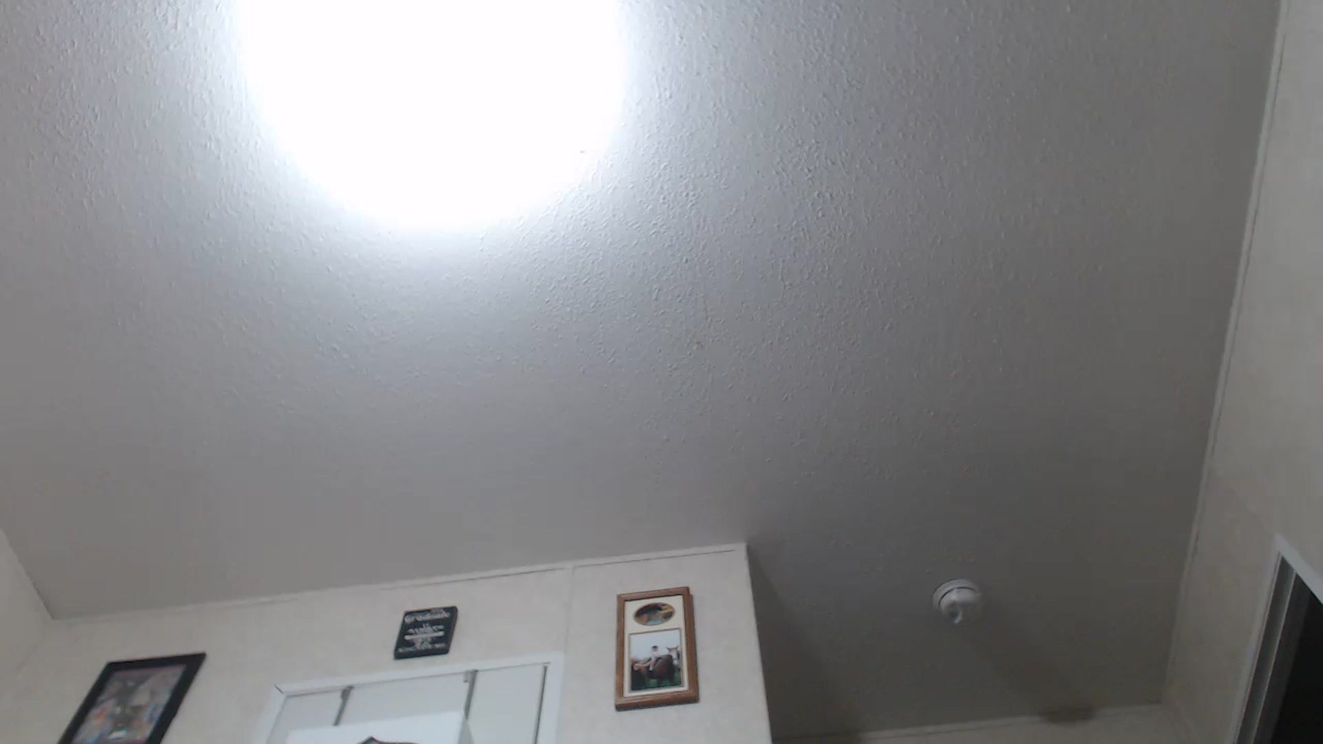 Gallery image thumbnail from Sofieyoungxxx's myfreecams stream on, 07/18/2023, 10:03 image 8 of 20