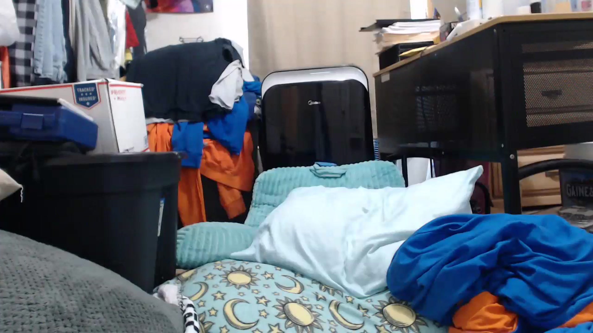 Gallery image thumbnail from Sofieyoungxxx's myfreecams stream on, 07/20/2023, 15:38 image 16 of 20