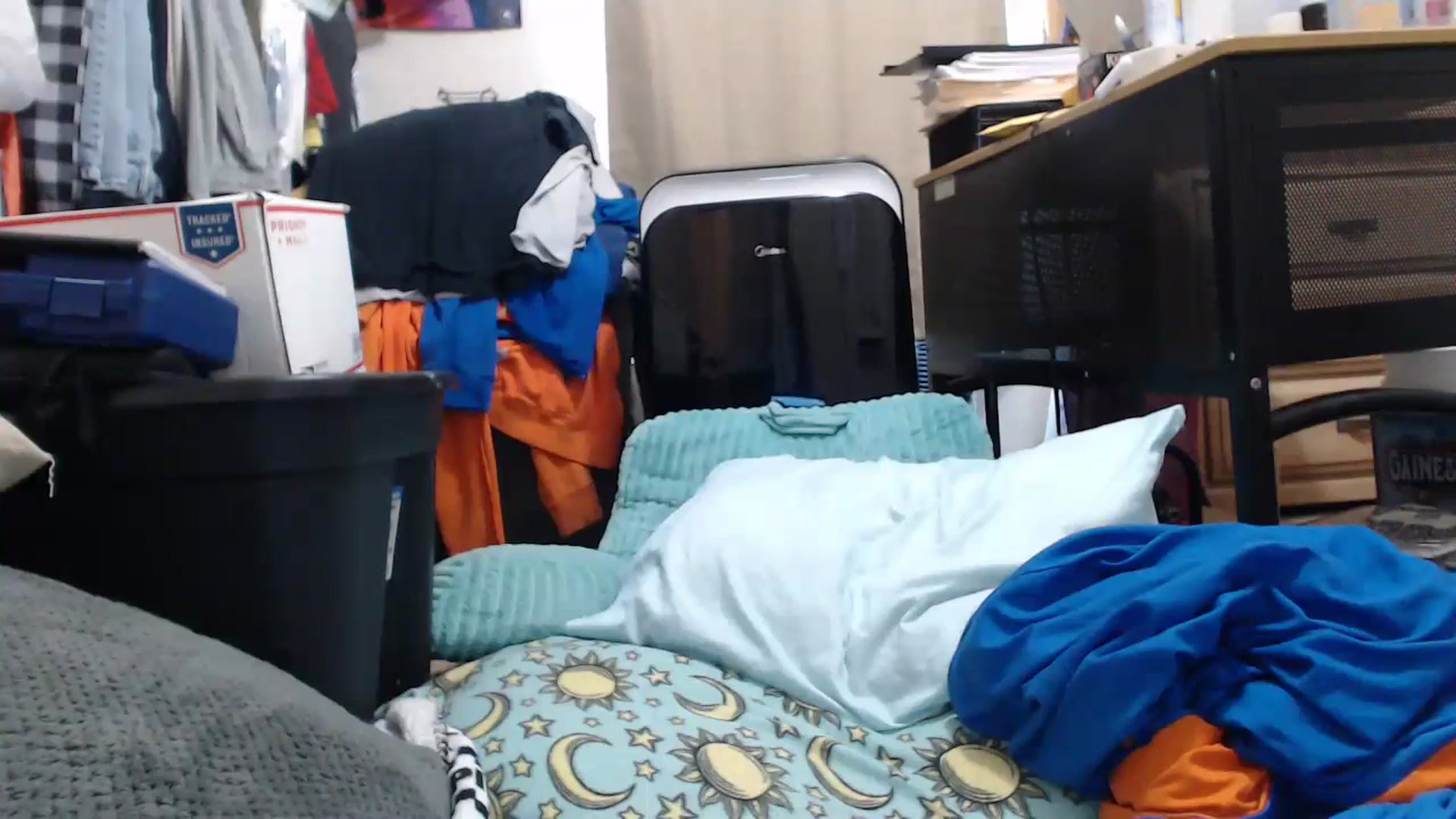 Gallery image thumbnail from Sofieyoungxxx's myfreecams stream on, 07/20/2023, 15:38 image 17 of 20
