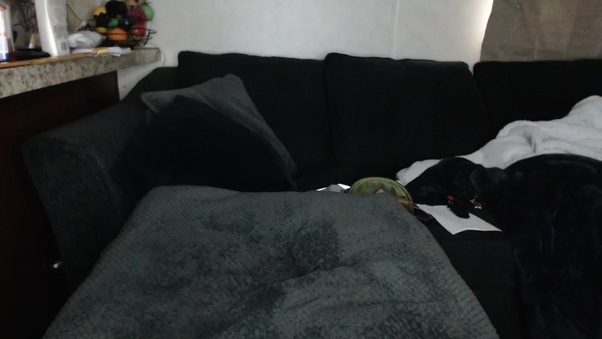 Gallery image thumbnail from Sofieyoungxxx's myfreecams stream on, 05/03/2024, 12:48 image 12 of 20