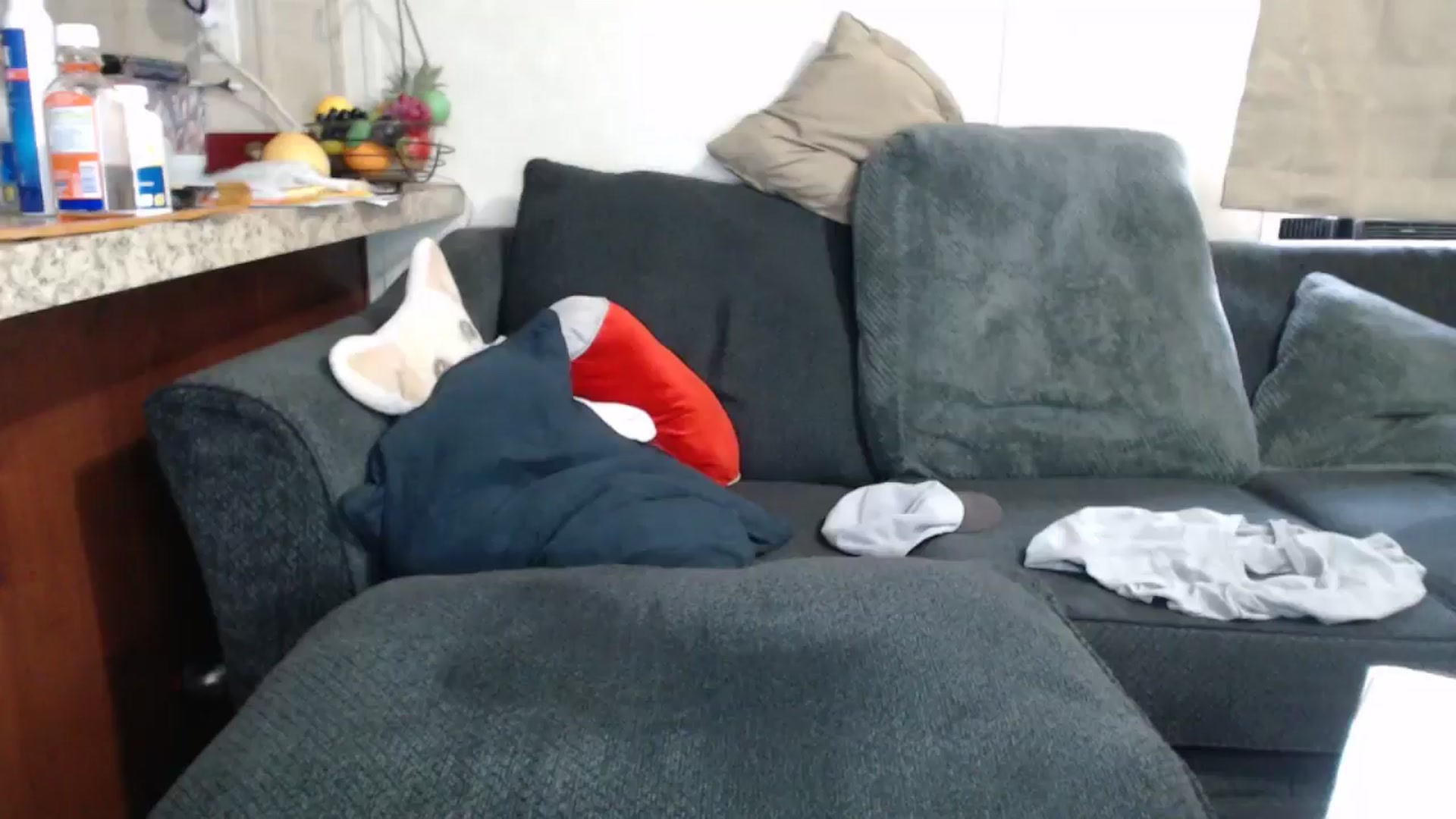 Gallery image thumbnail from Sofieyoungxxx's myfreecams stream on, 05/08/2024, 12:52 image 9 of 20