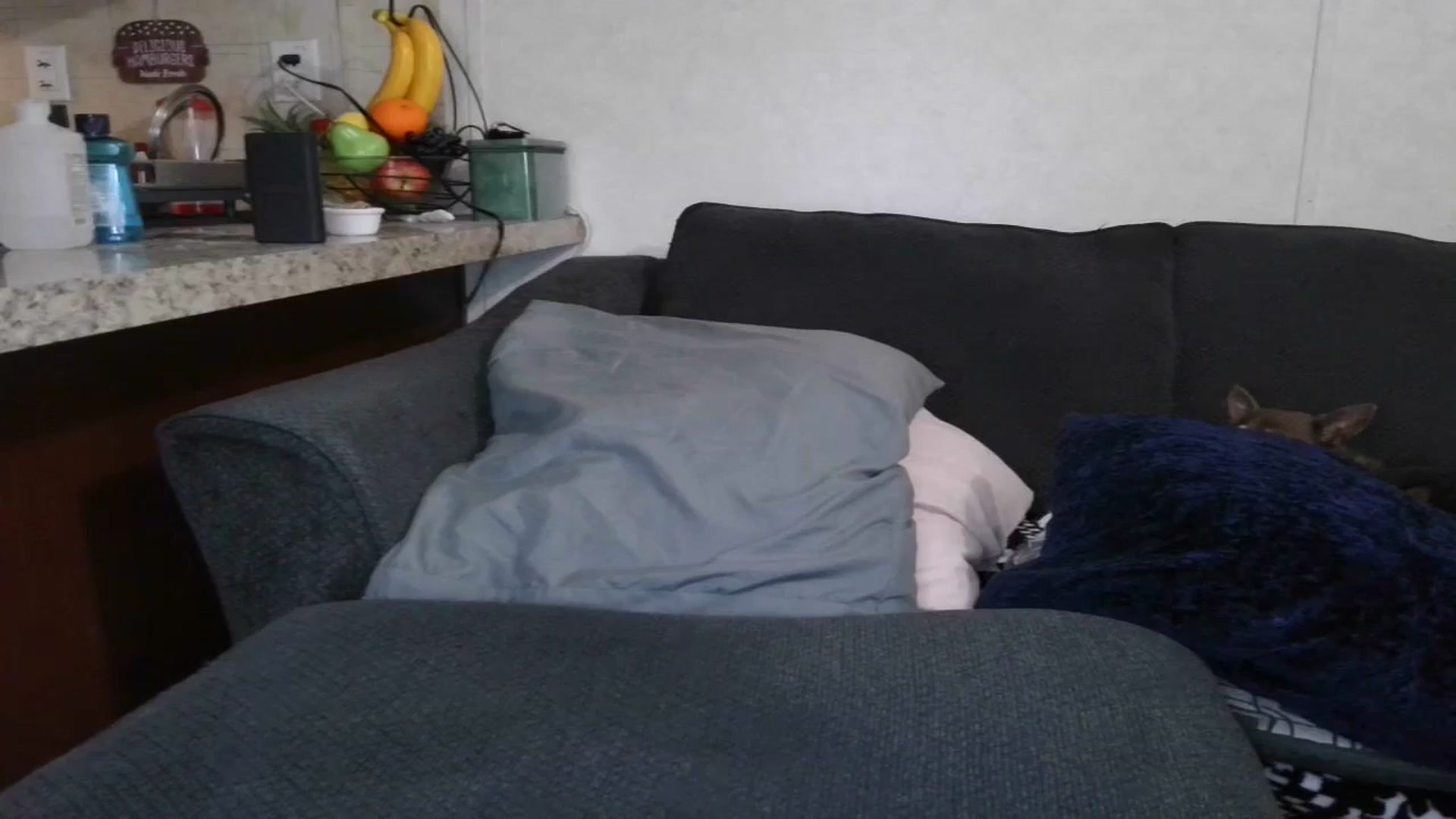 Gallery image thumbnail from Sofieyoungxxx's myfreecams stream on, 05/20/2025, 10:17 image 15 of 20