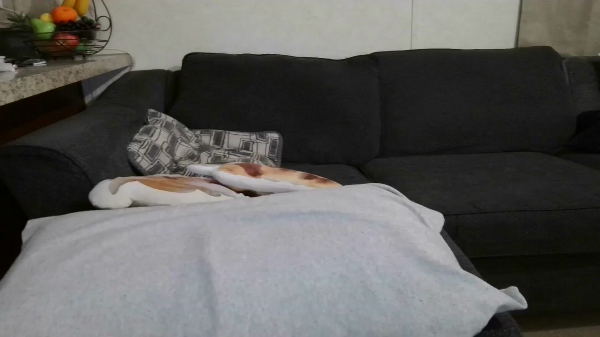 Gallery image thumbnail from Sofieyoungxxx's myfreecams stream on, 05/27/2025, 09:53 image 5 of 20