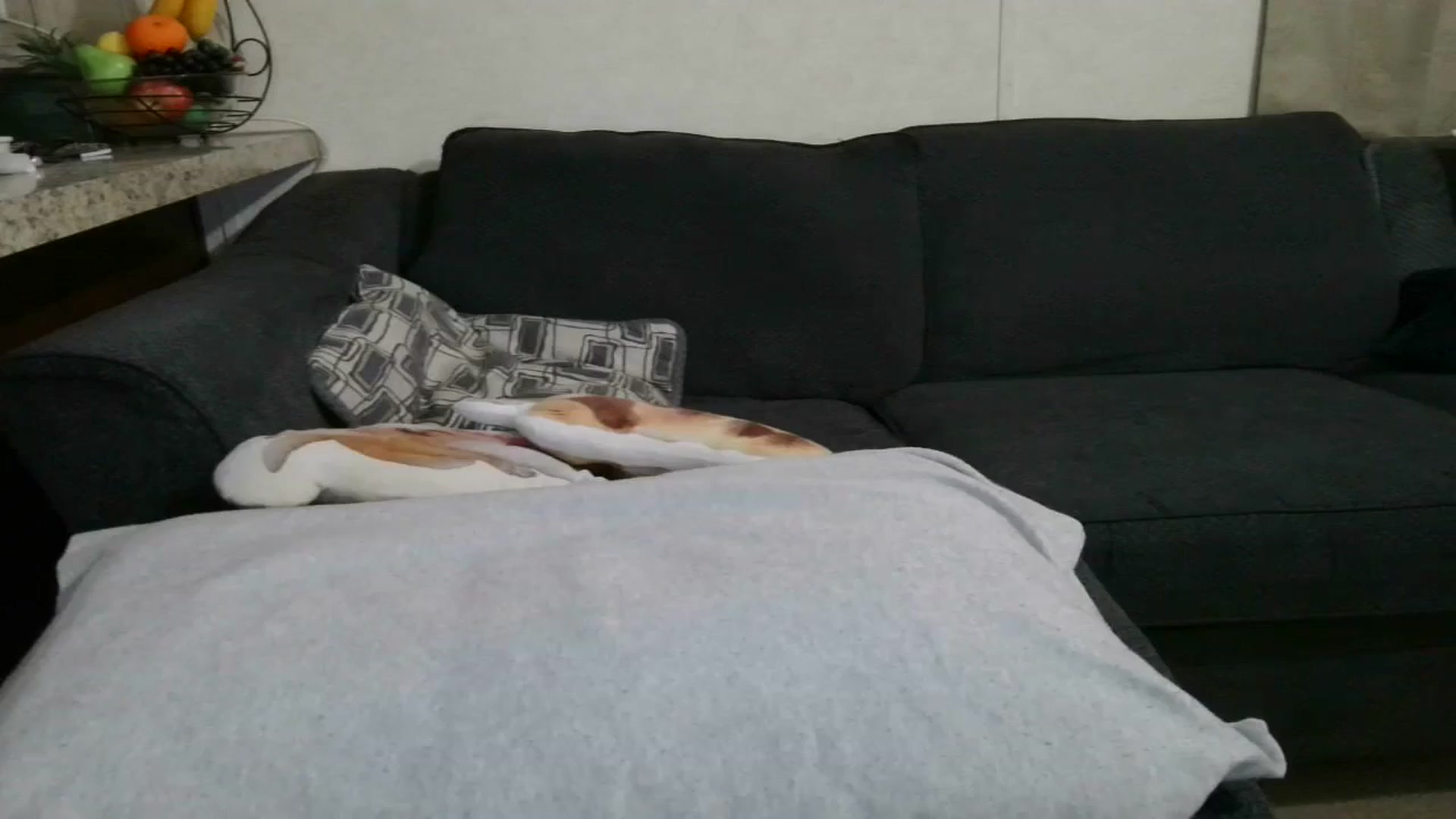 Gallery image thumbnail from Sofieyoungxxx's myfreecams stream on, 05/27/2025, 09:53 image 2 of 20