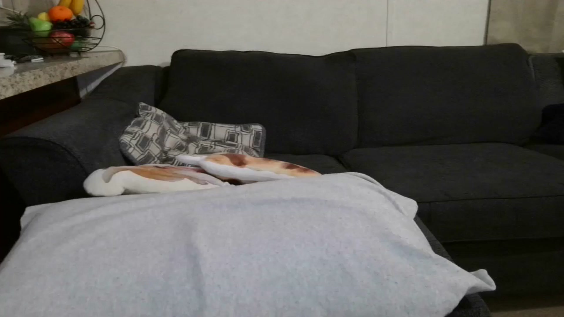 Gallery image thumbnail from Sofieyoungxxx's myfreecams stream on, 05/27/2025, 09:53 image 6 of 20