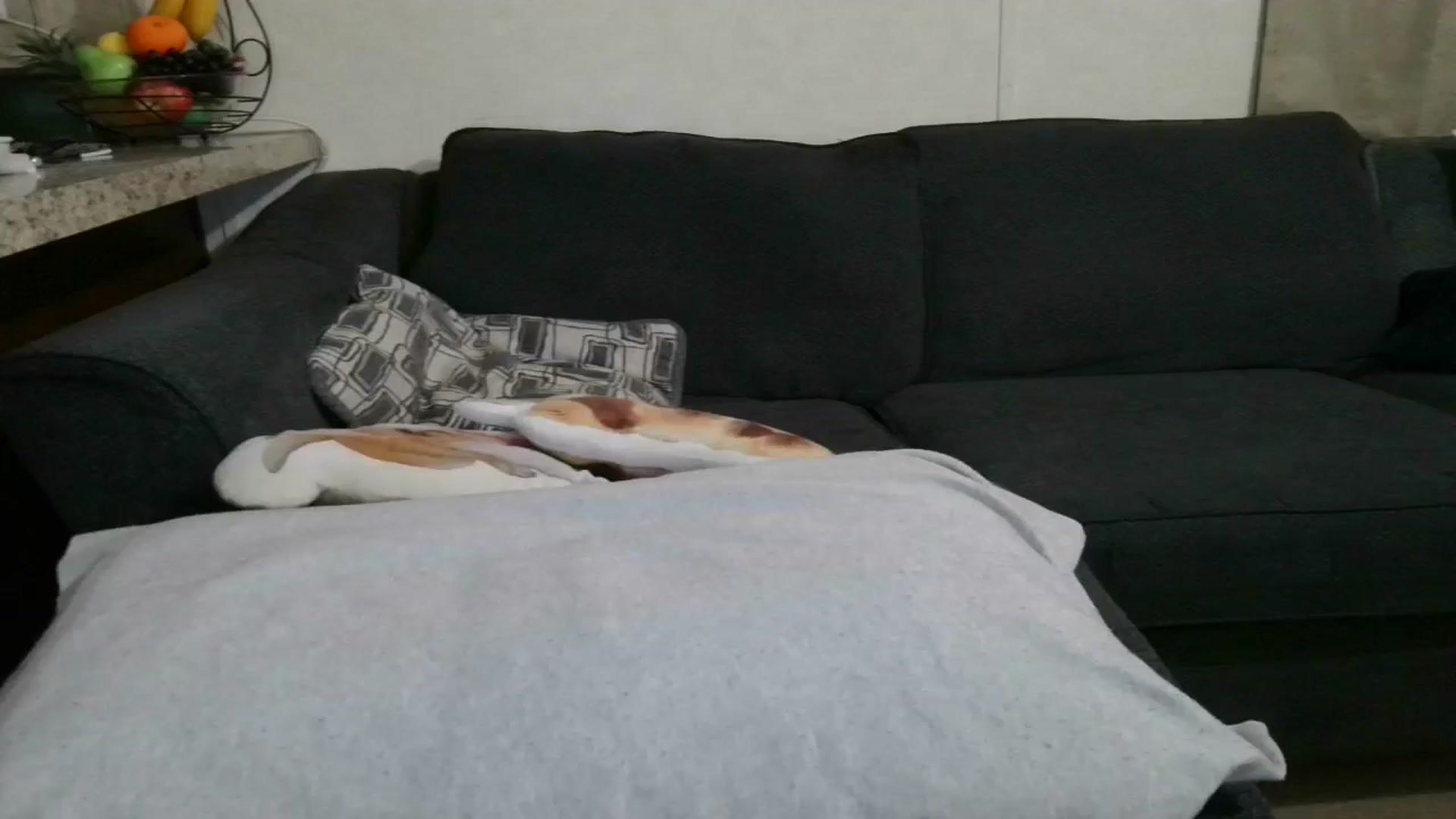 Gallery image thumbnail from Sofieyoungxxx's myfreecams stream on, 05/27/2025, 09:53 image 1 of 20