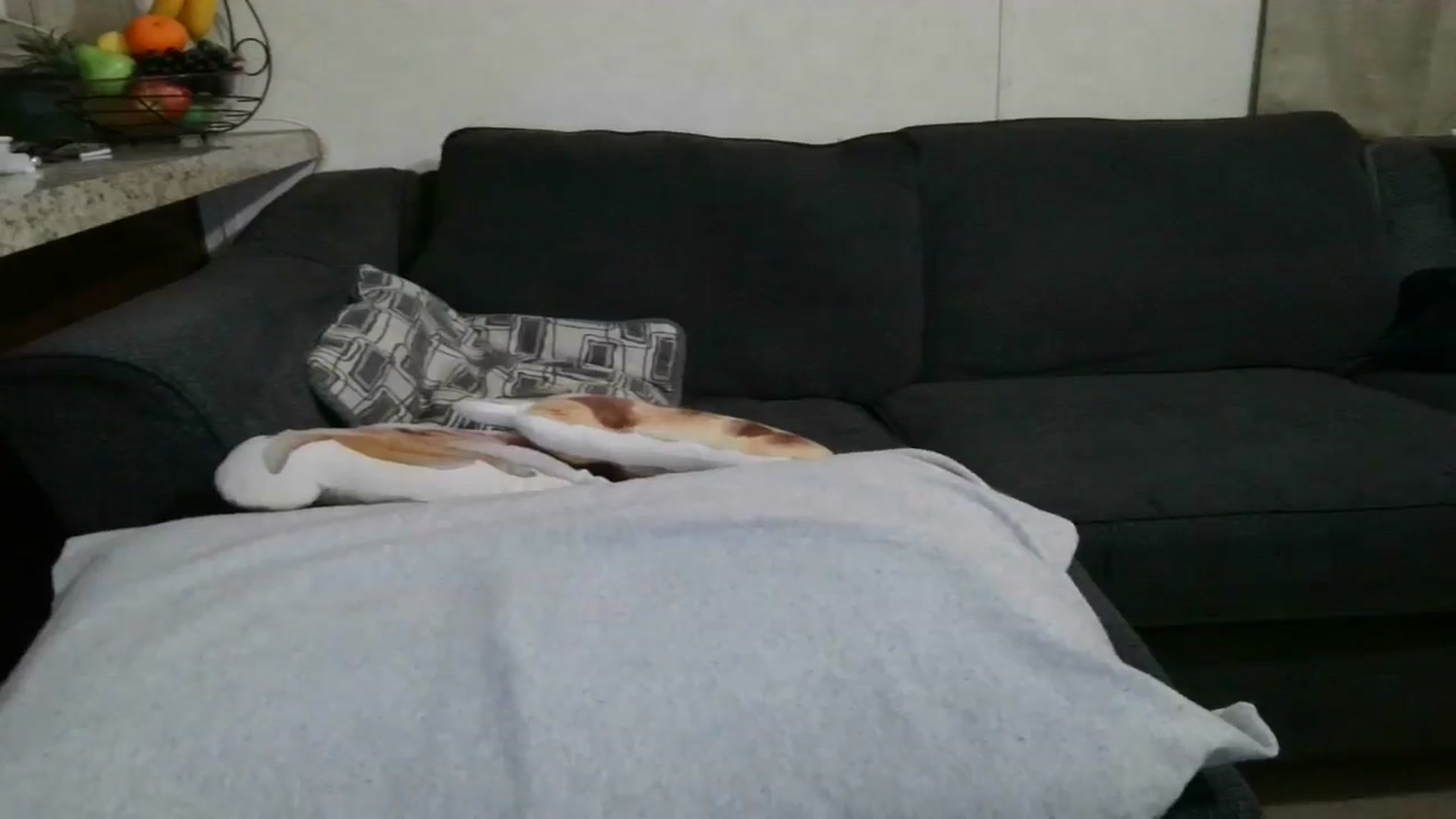 Gallery image thumbnail from Sofieyoungxxx's myfreecams stream on, 05/27/2025, 09:53 image 3 of 20