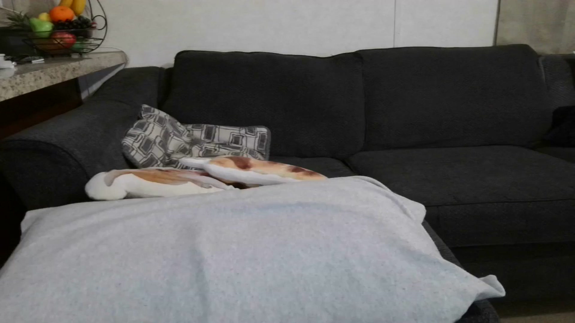 Gallery image thumbnail from Sofieyoungxxx's myfreecams stream on, 05/27/2025, 09:53 image 4 of 20