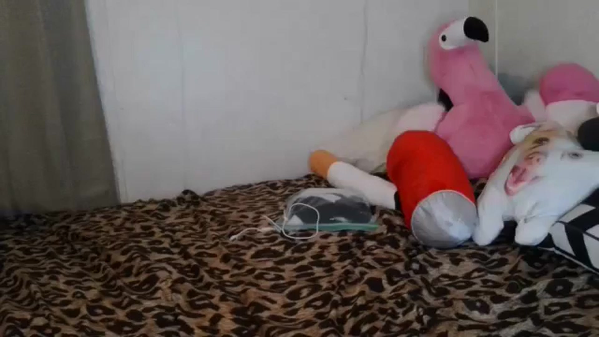 Gallery image thumbnail from Sofieyoungxxx's myfreecams stream on, 11/17/2025, 10:34 image 2 of 20