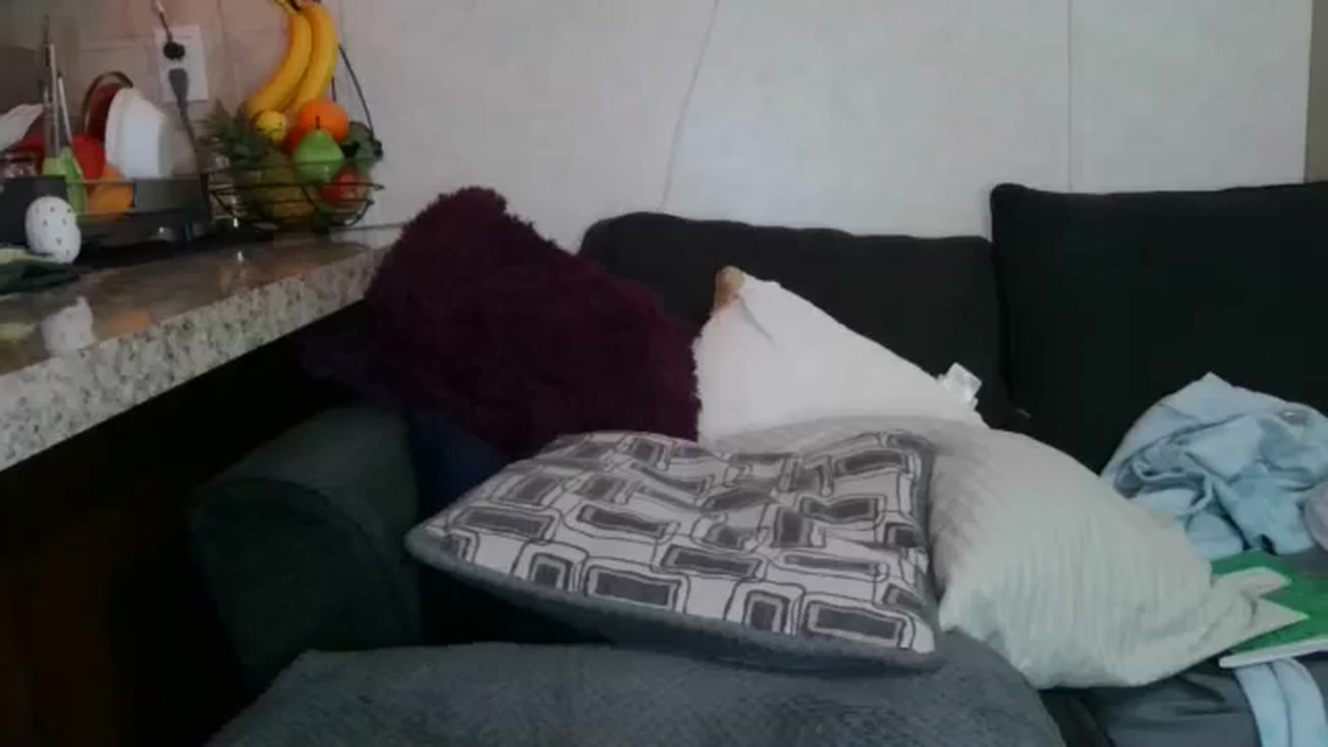 Gallery image thumbnail from Sofieyoungxxx's myfreecams stream on, 11/17/2025, 13:29 image 3 of 20