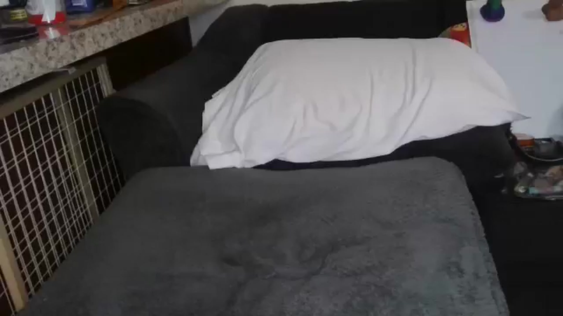 Gallery image thumbnail from Sofieyoungxxx's myfreecams stream on, 03/10/2026, 12:37 image 4 of 20