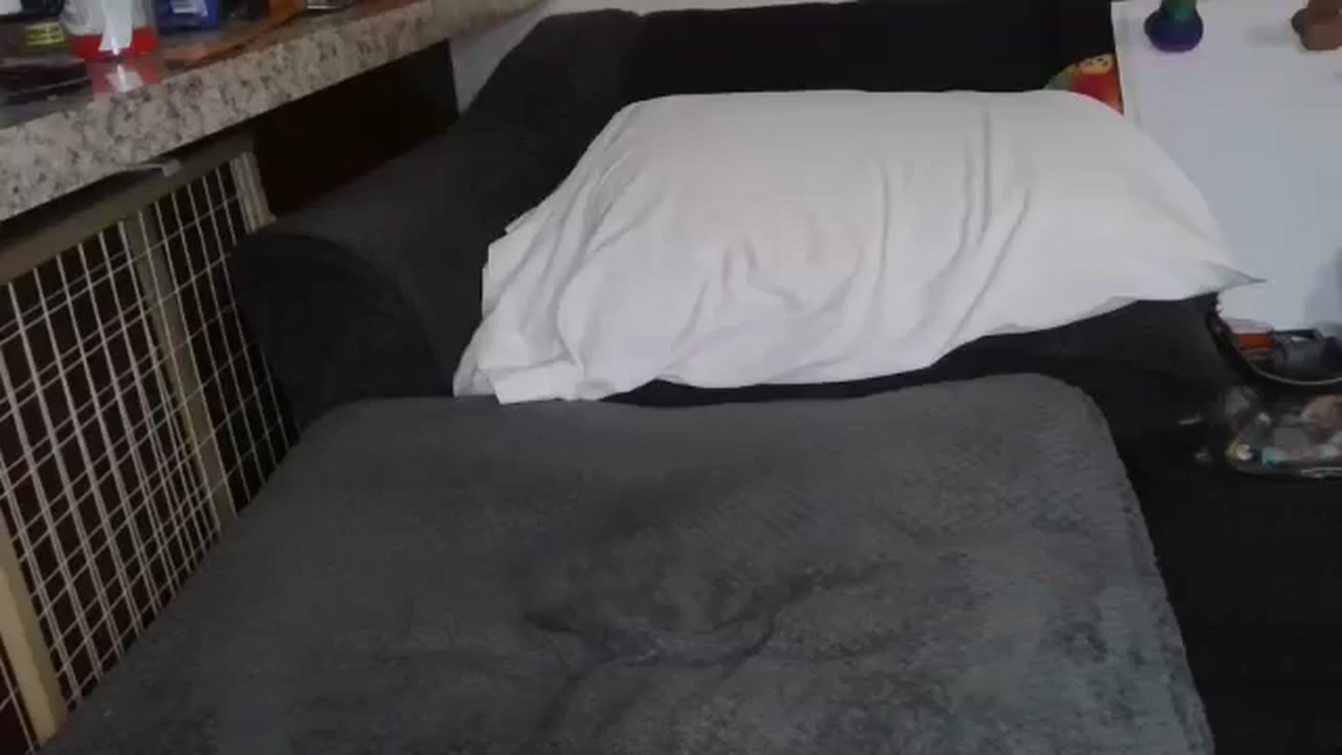 Gallery image thumbnail from Sofieyoungxxx's myfreecams stream on, 03/10/2026, 12:37 image 5 of 20