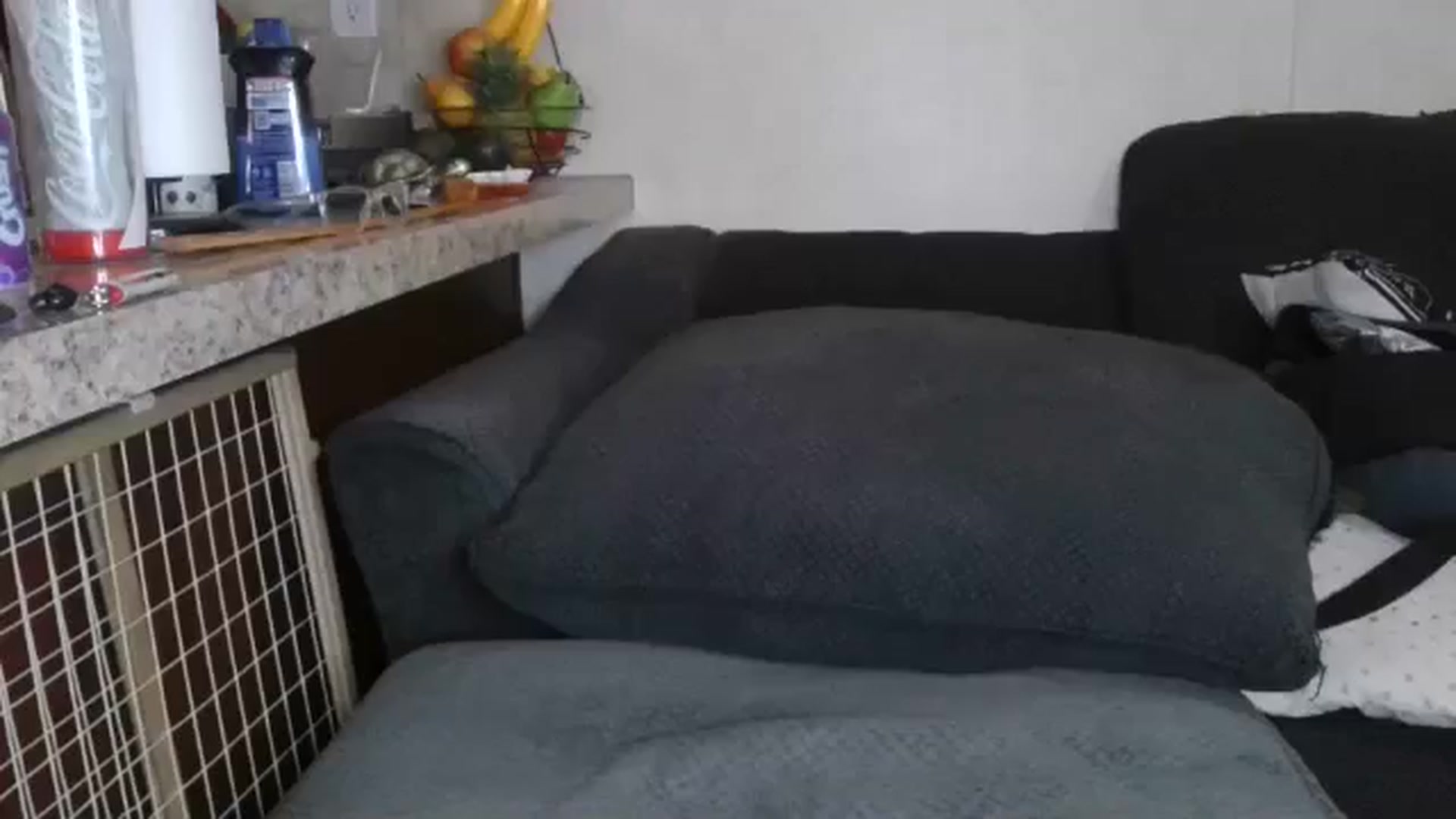 Gallery image thumbnail from Sofieyoungxxx's myfreecams stream on, 03/11/2026, 13:40 image 19 of 20