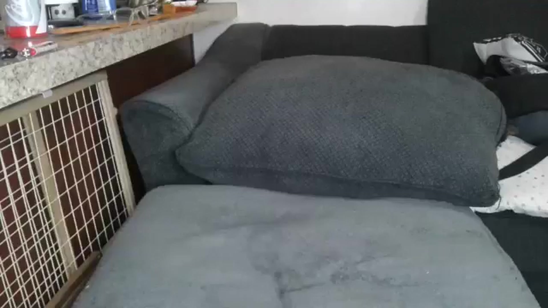 Gallery image thumbnail from Sofieyoungxxx's myfreecams stream on, 03/11/2026, 13:40 image 5 of 20
