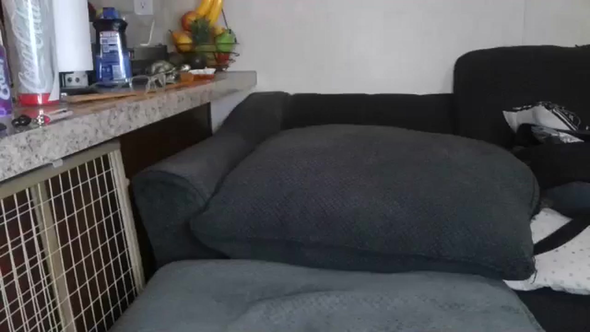 Gallery image thumbnail from Sofieyoungxxx's myfreecams stream on, 03/11/2026, 13:40 image 17 of 20