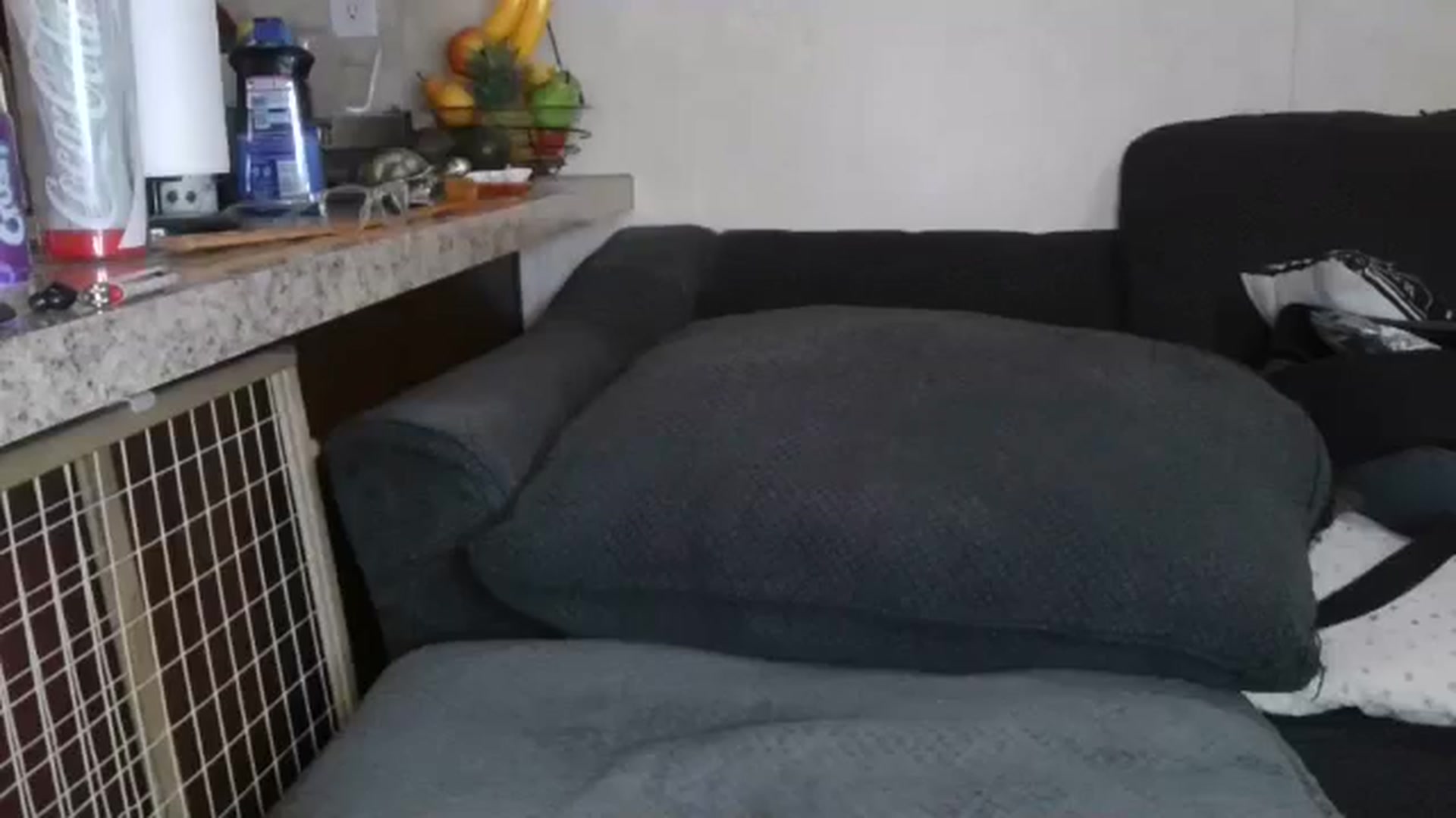 Gallery image thumbnail from Sofieyoungxxx's myfreecams stream on, 03/11/2026, 13:40 image 14 of 20