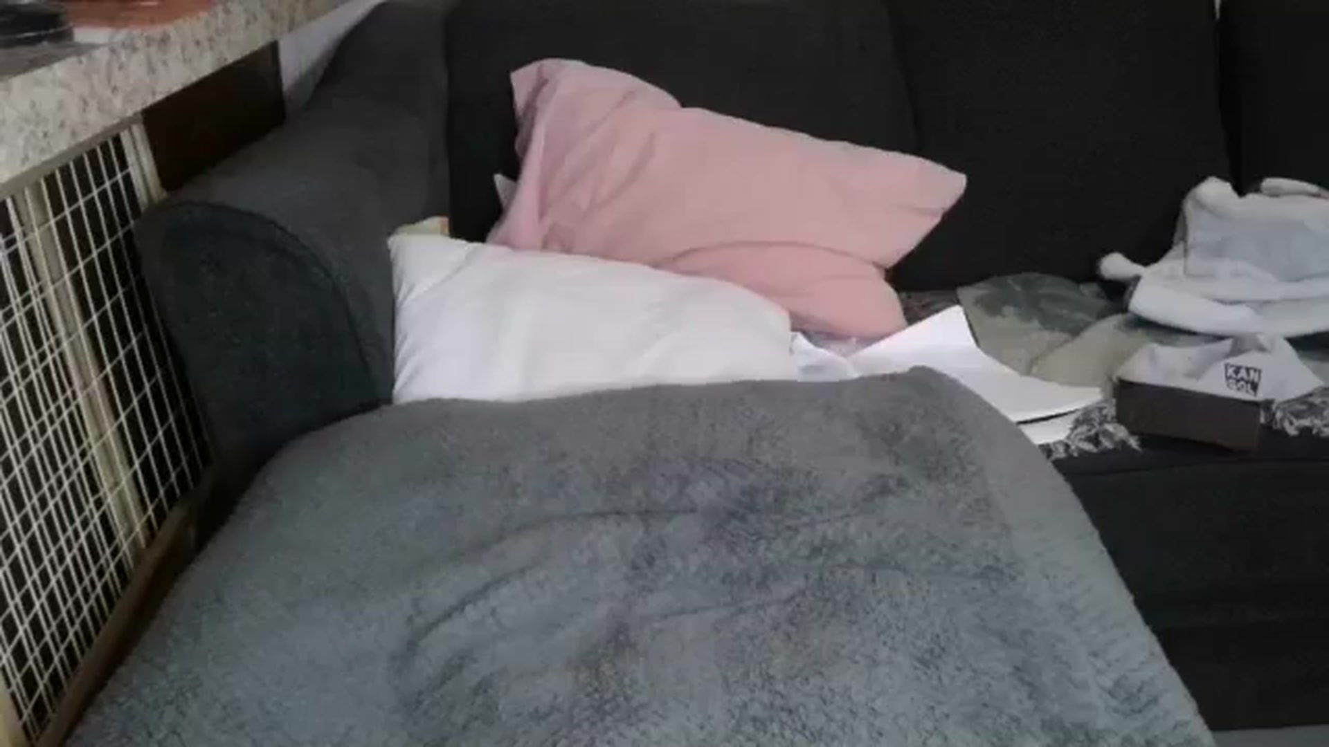 Gallery image thumbnail from Sofieyoungxxx's myfreecams stream on, 03/16/2026, 09:23 image 9 of 20