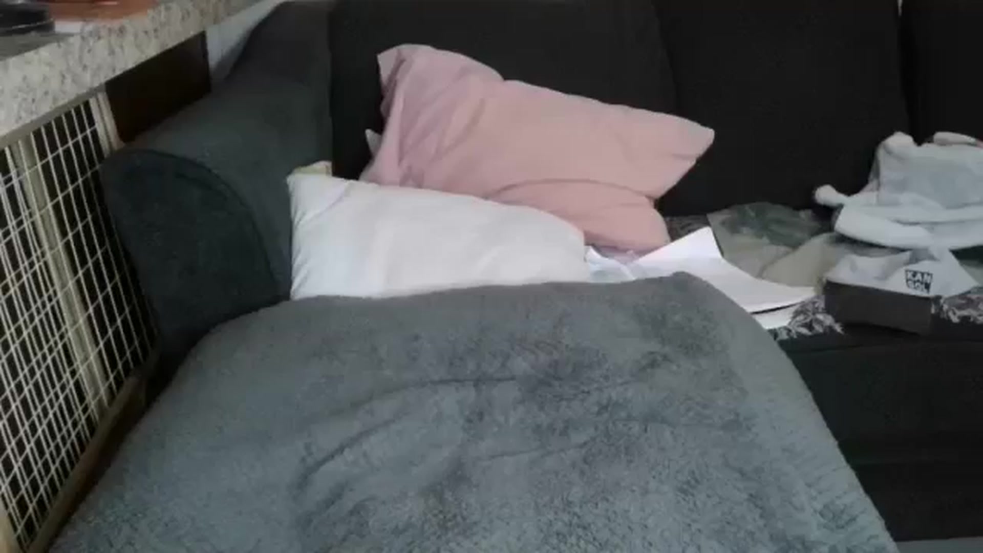 Gallery image thumbnail from Sofieyoungxxx's myfreecams stream on, 03/16/2026, 09:23 image 3 of 20