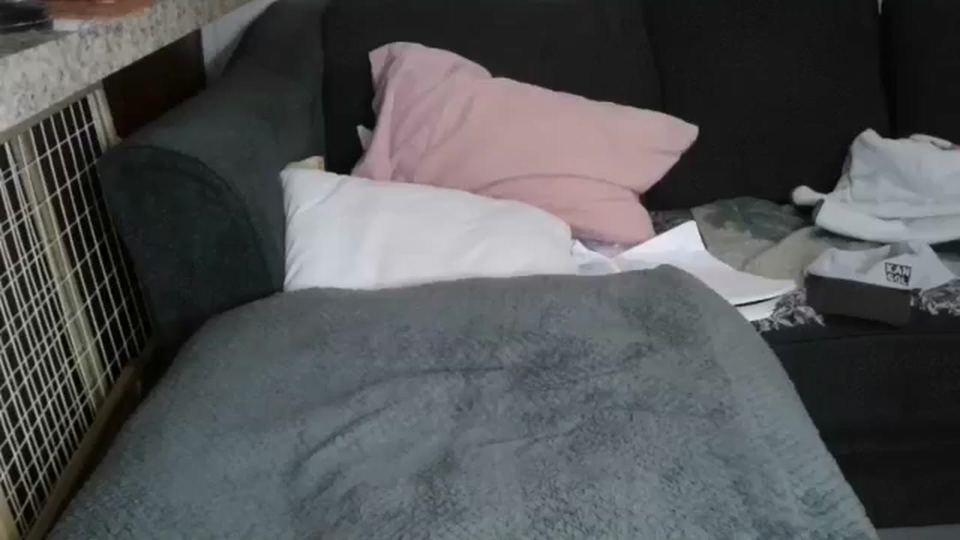 Gallery image thumbnail from Sofieyoungxxx's myfreecams stream on, 03/16/2026, 09:23 image 19 of 20
