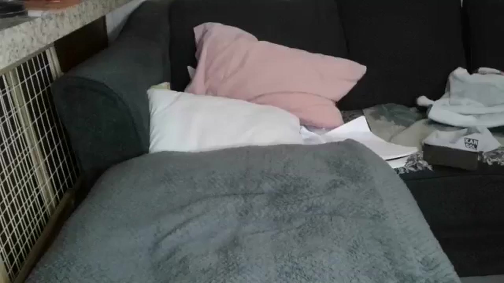Gallery image thumbnail from Sofieyoungxxx's myfreecams stream on, 03/16/2026, 09:23 image 8 of 20