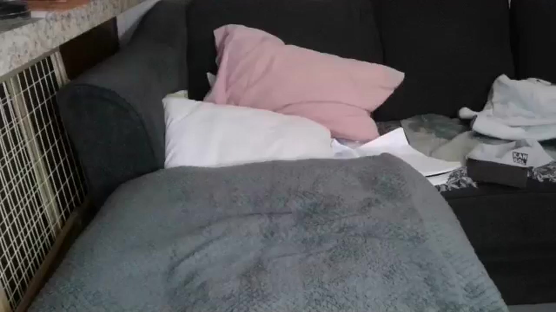 Gallery image thumbnail from Sofieyoungxxx's myfreecams stream on, 03/16/2026, 09:23 image 18 of 20