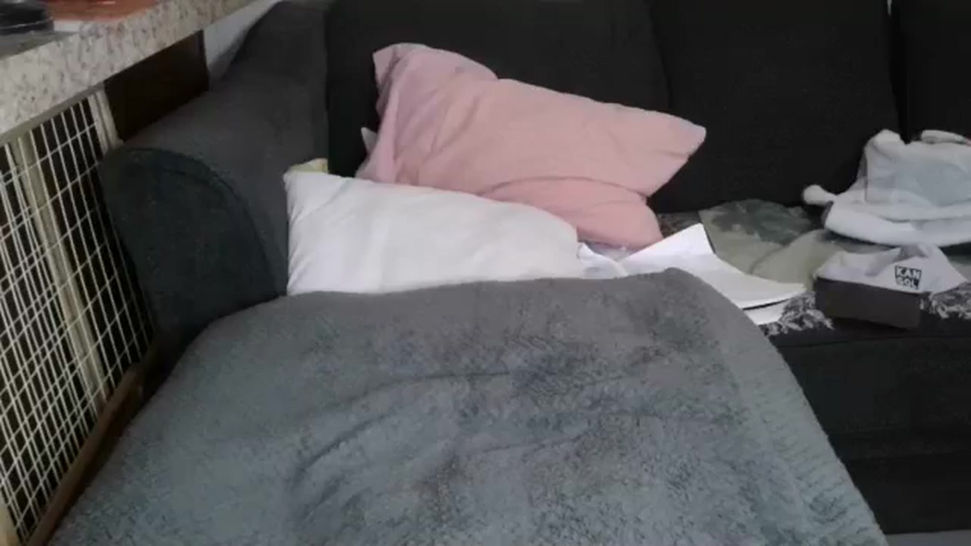 Gallery image thumbnail from Sofieyoungxxx's myfreecams stream on, 03/16/2026, 09:23 image 7 of 20