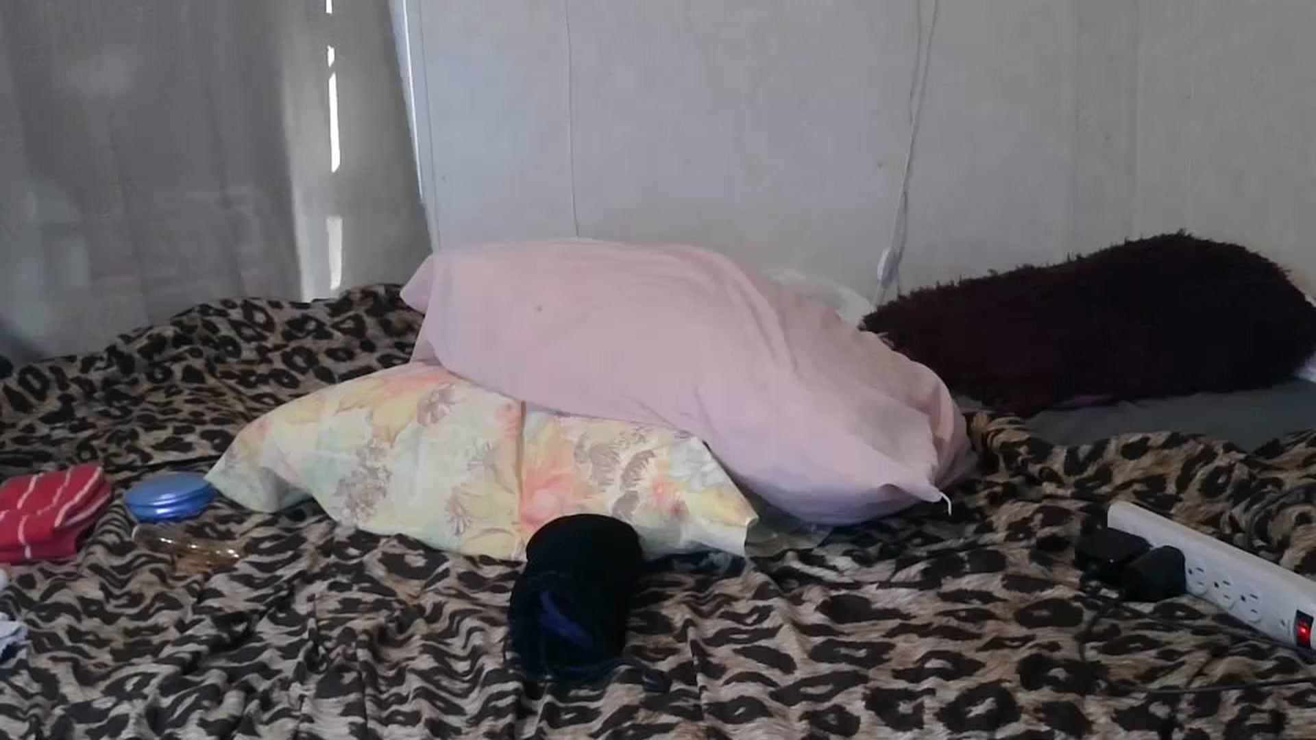 Gallery image thumbnail from Sofieyoungxxx's myfreecams stream on, 03/22/2026, 15:09 image 9 of 20