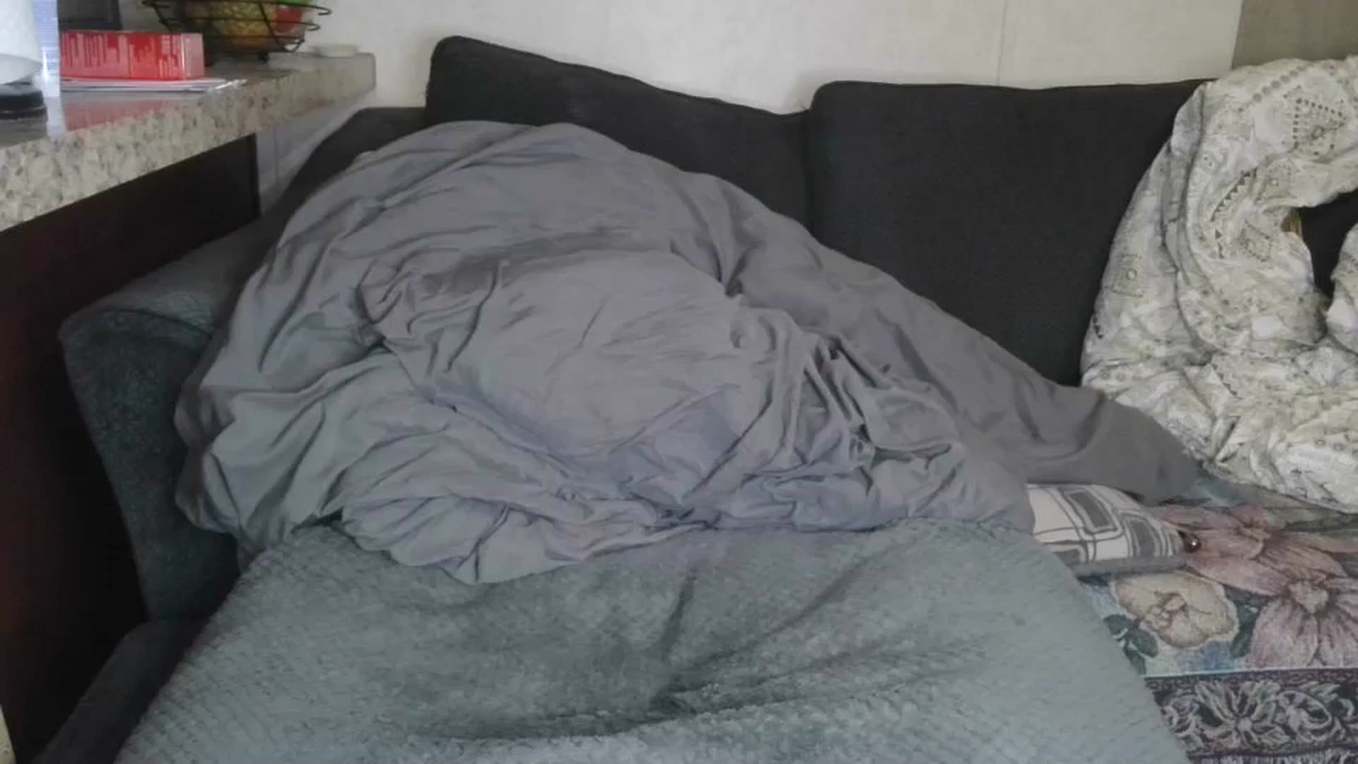 Gallery image thumbnail from Sofieyoungxxx's myfreecams stream on, 03/29/2026, 12:08 image 7 of 20